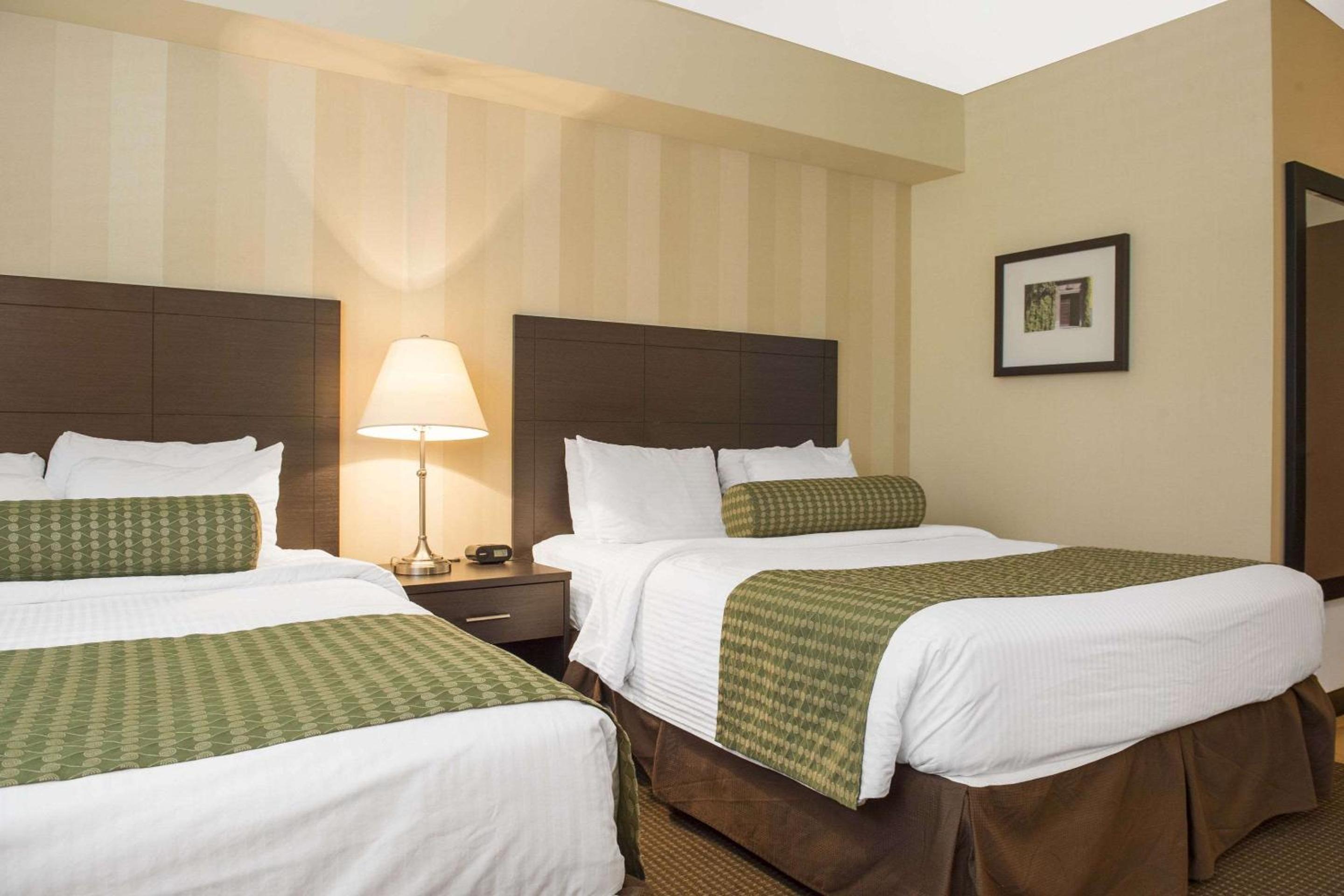Queen Room with Two Queen Beds - Non-Smoking - Photo 5