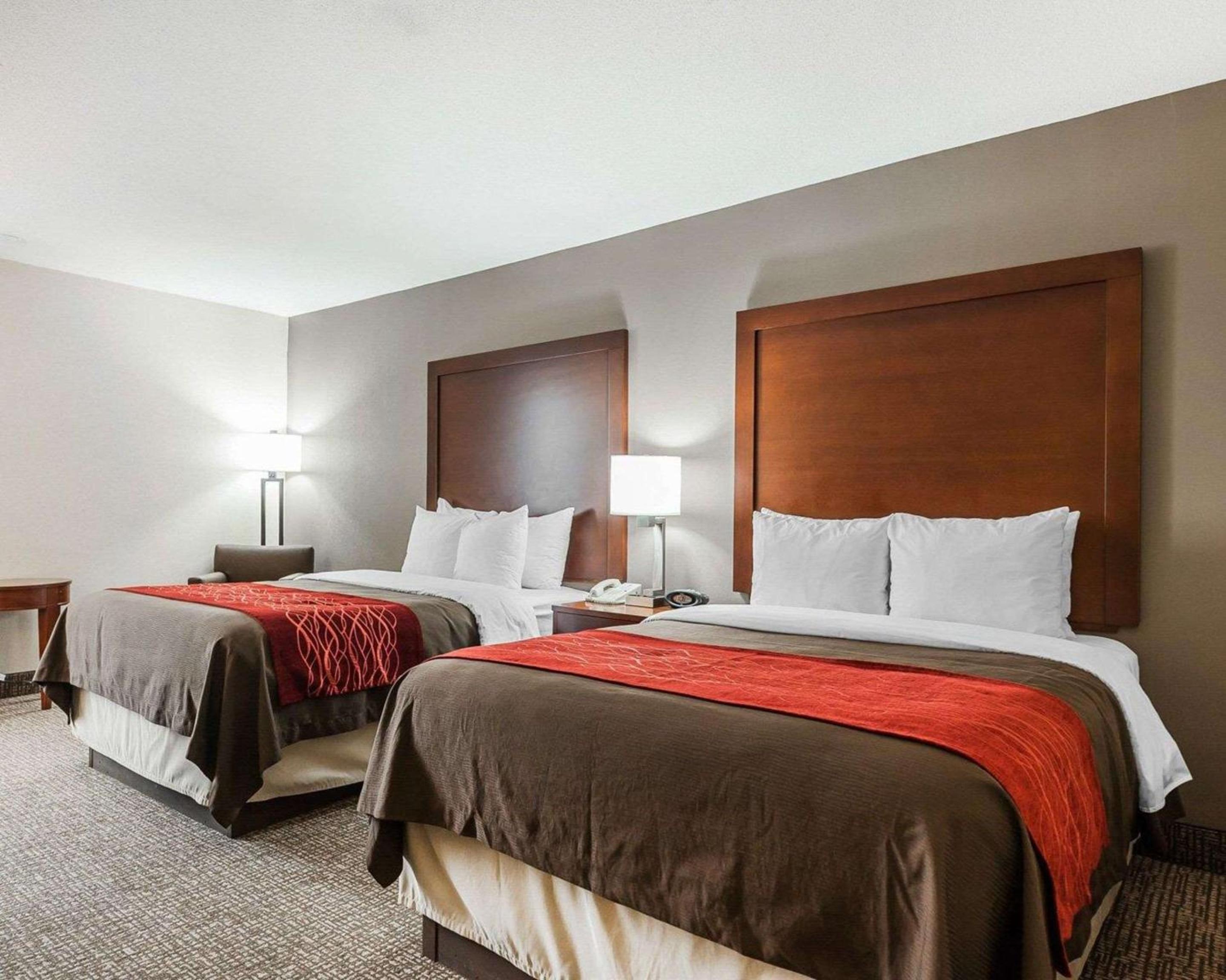 Standard Double Room With Two Double Beds photo 2