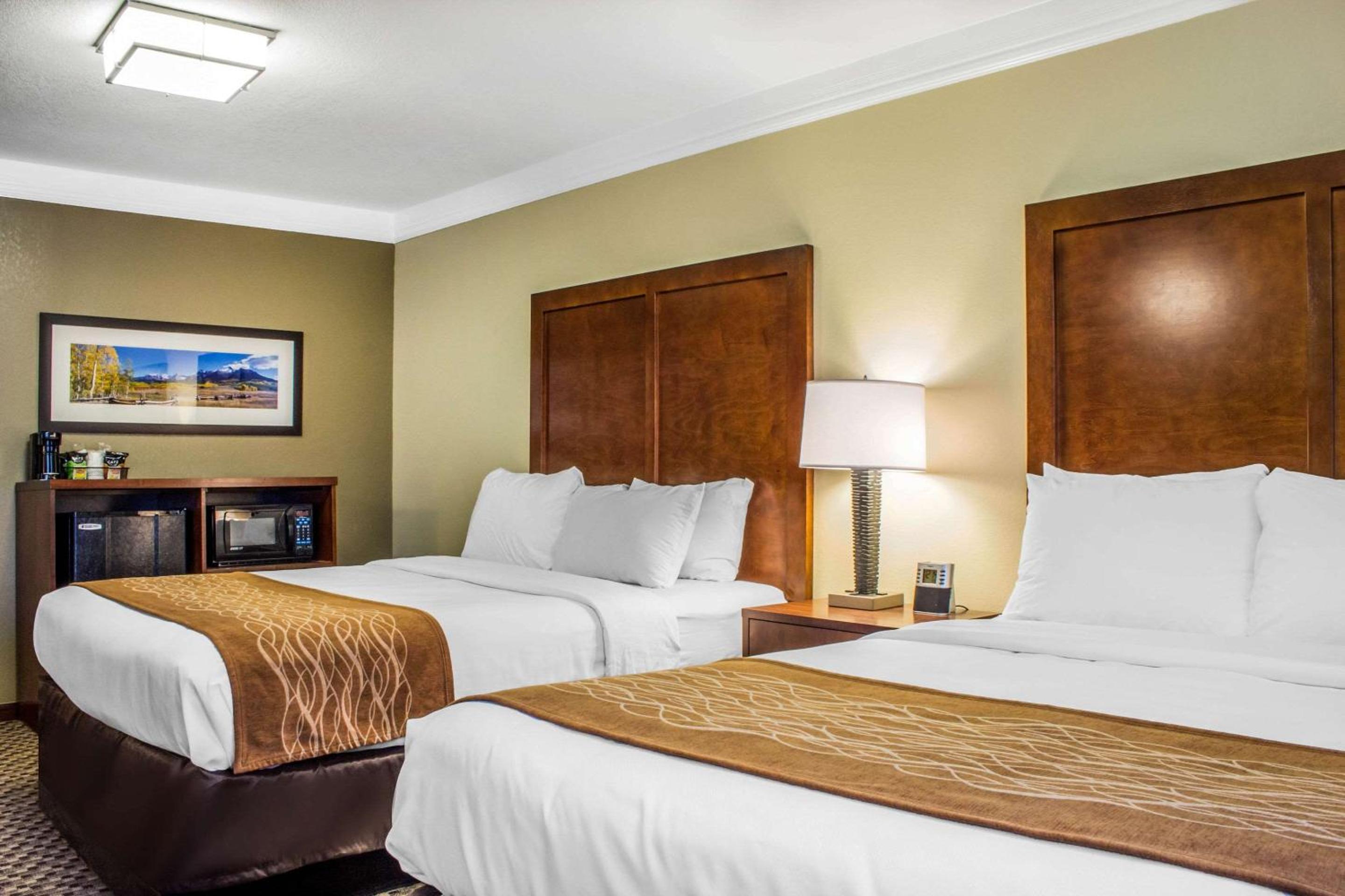 Suite with Four Queen Beds - Accessible/Non-Smoking - Photo 4