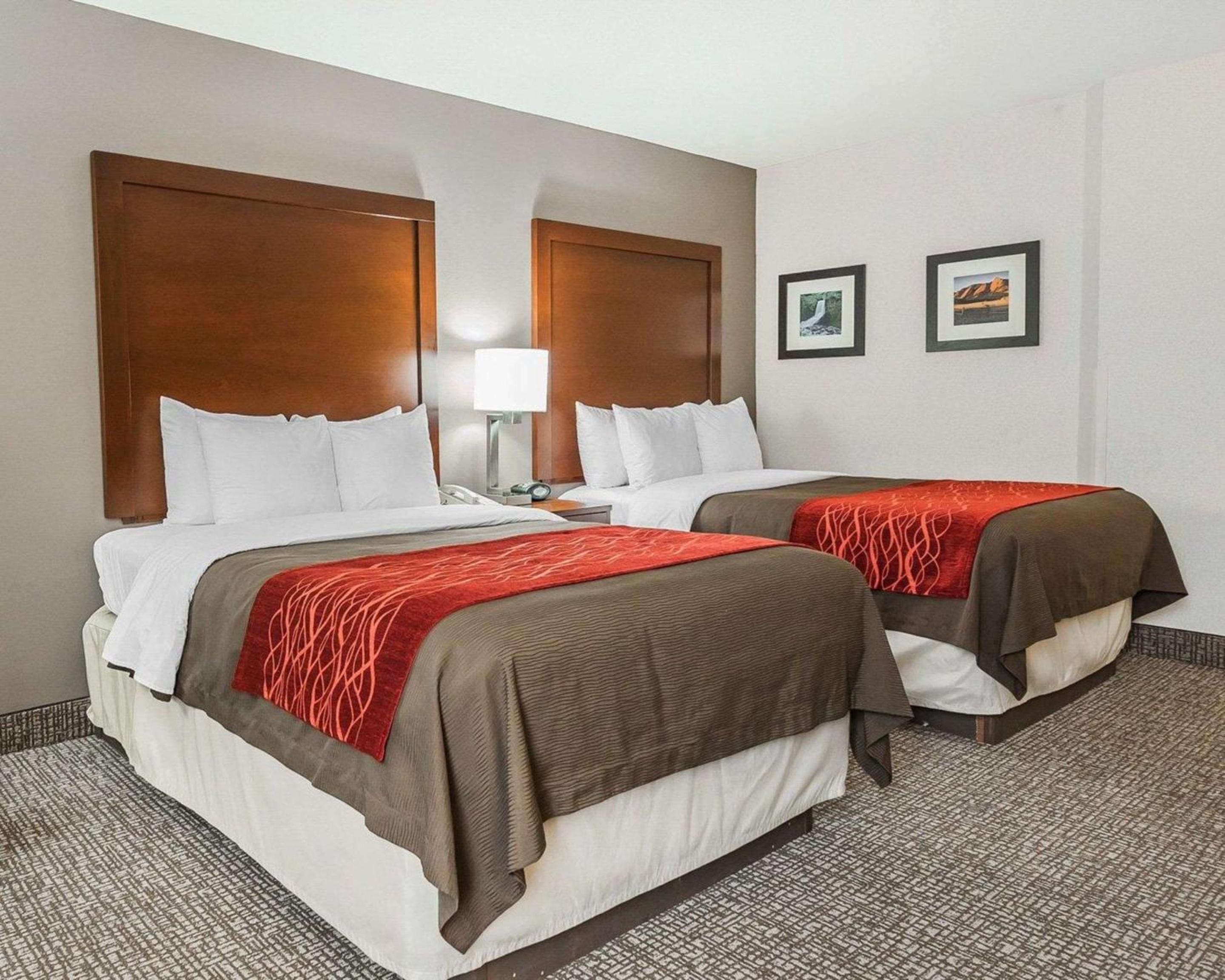Standard Double Room With Two Double Beds photo 1