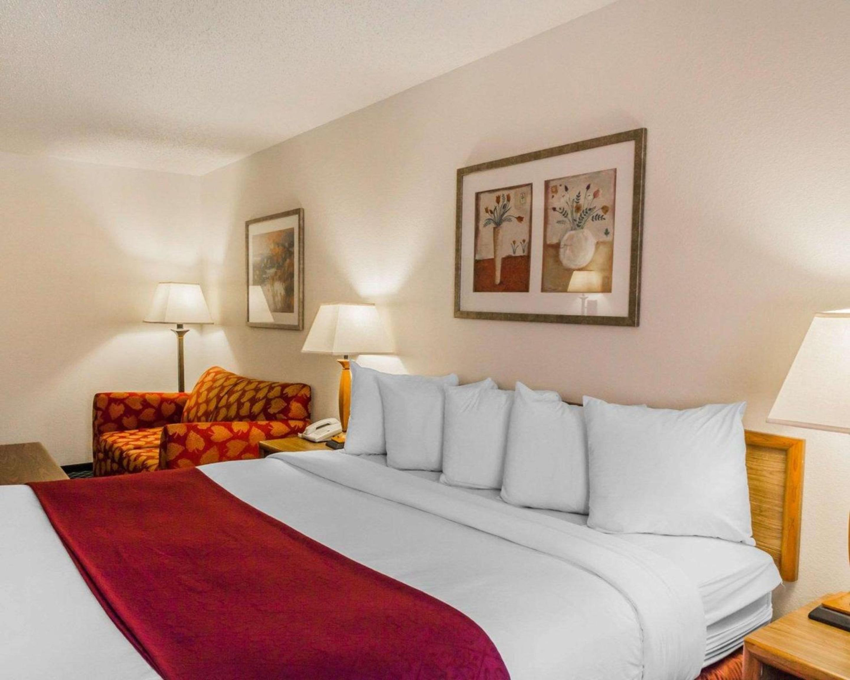 Deluxe King Room - Non-Smoking - Photo 4