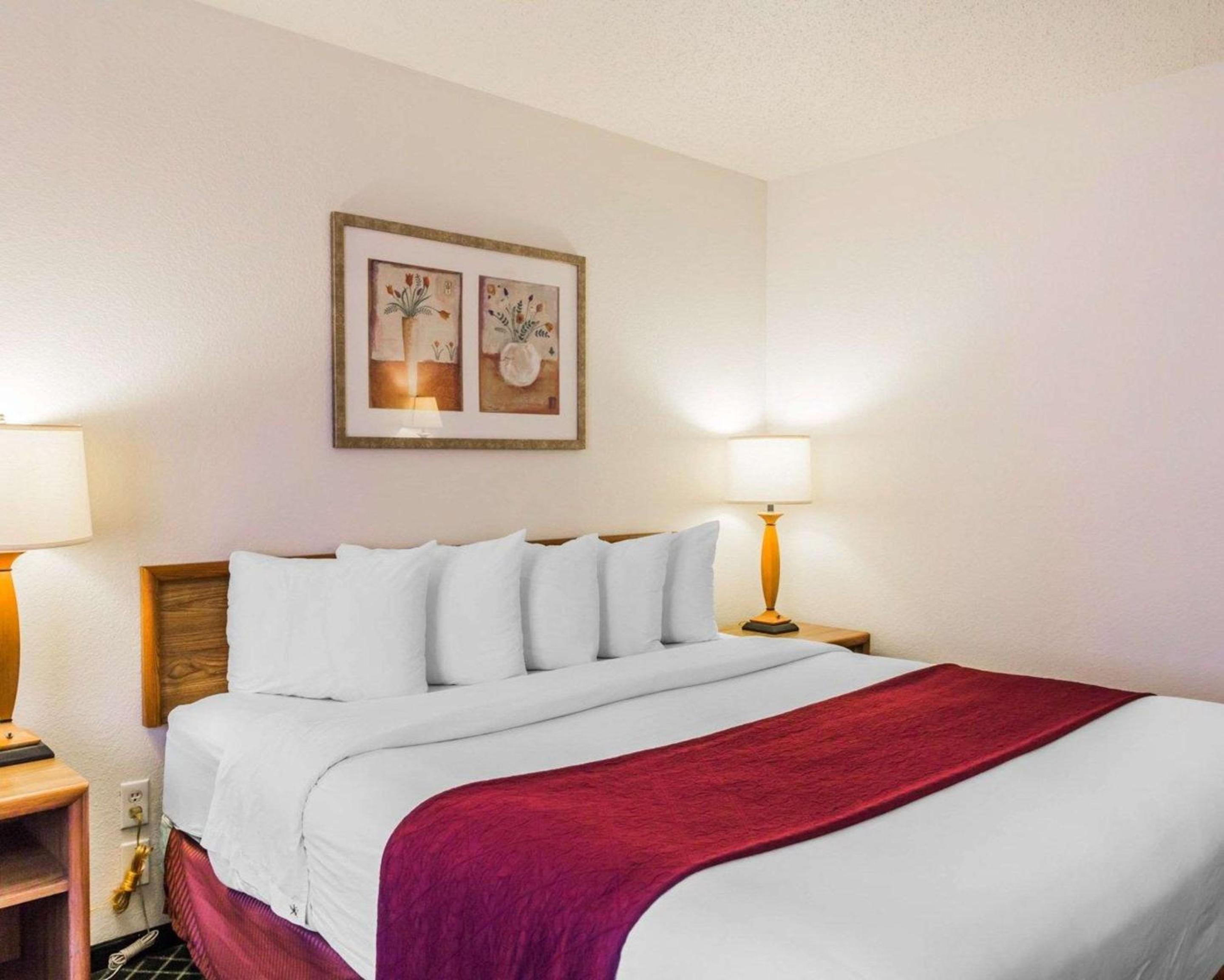 King Room - Non-Smoking - Photo 3
