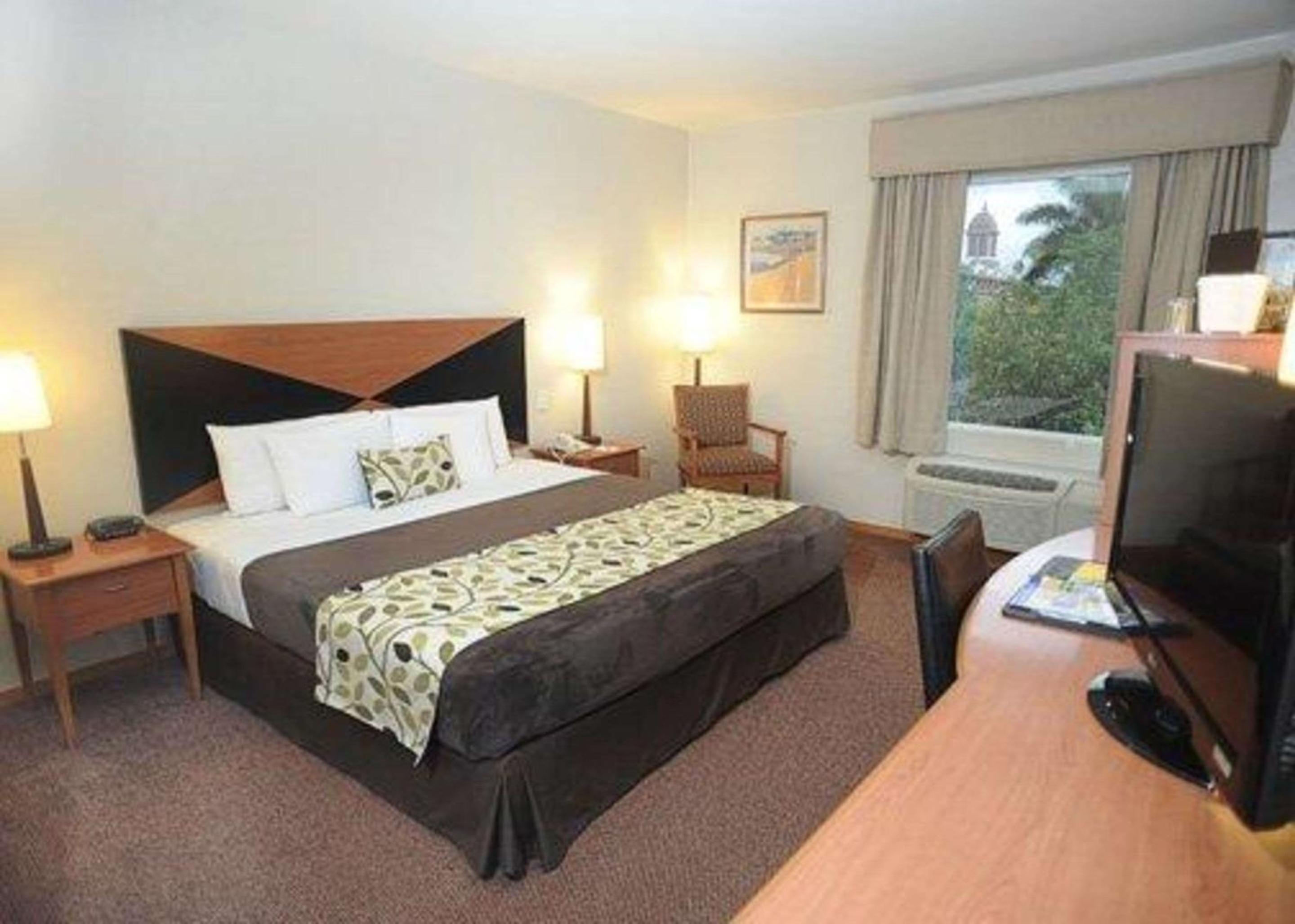 King Room - Non-Smoking - Photo 1