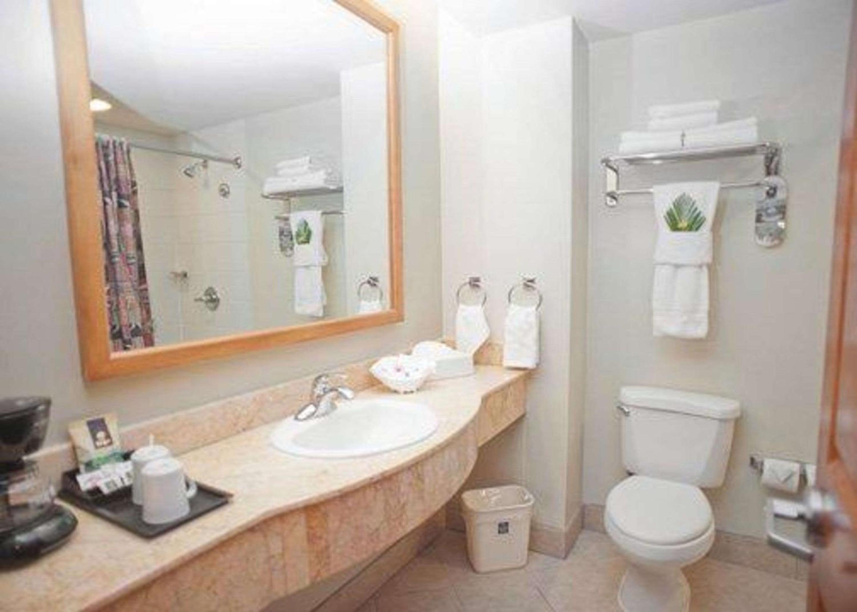 Standard Double Room - Photo 2