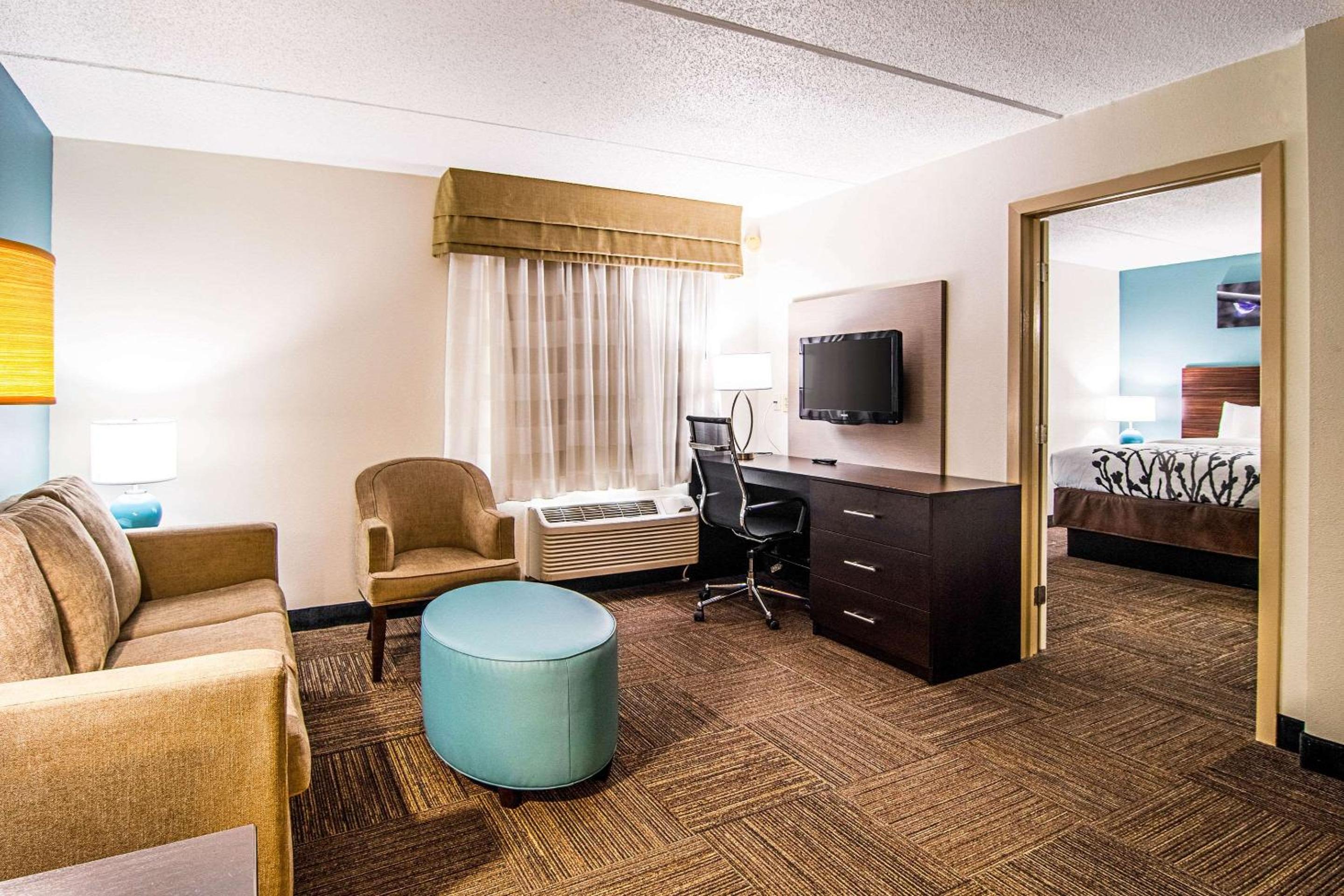 One-Bedroom Suite photo 2