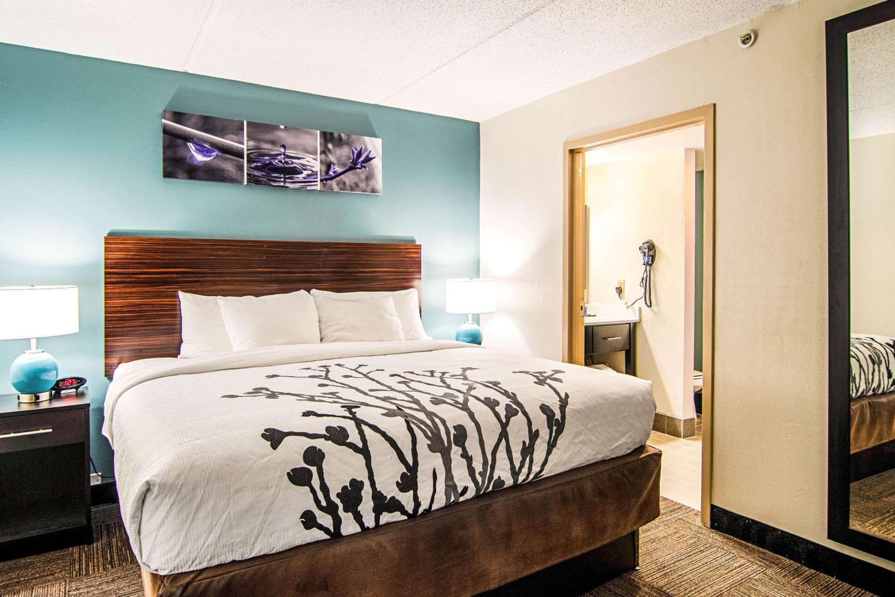 One-Bedroom Suite photo 1