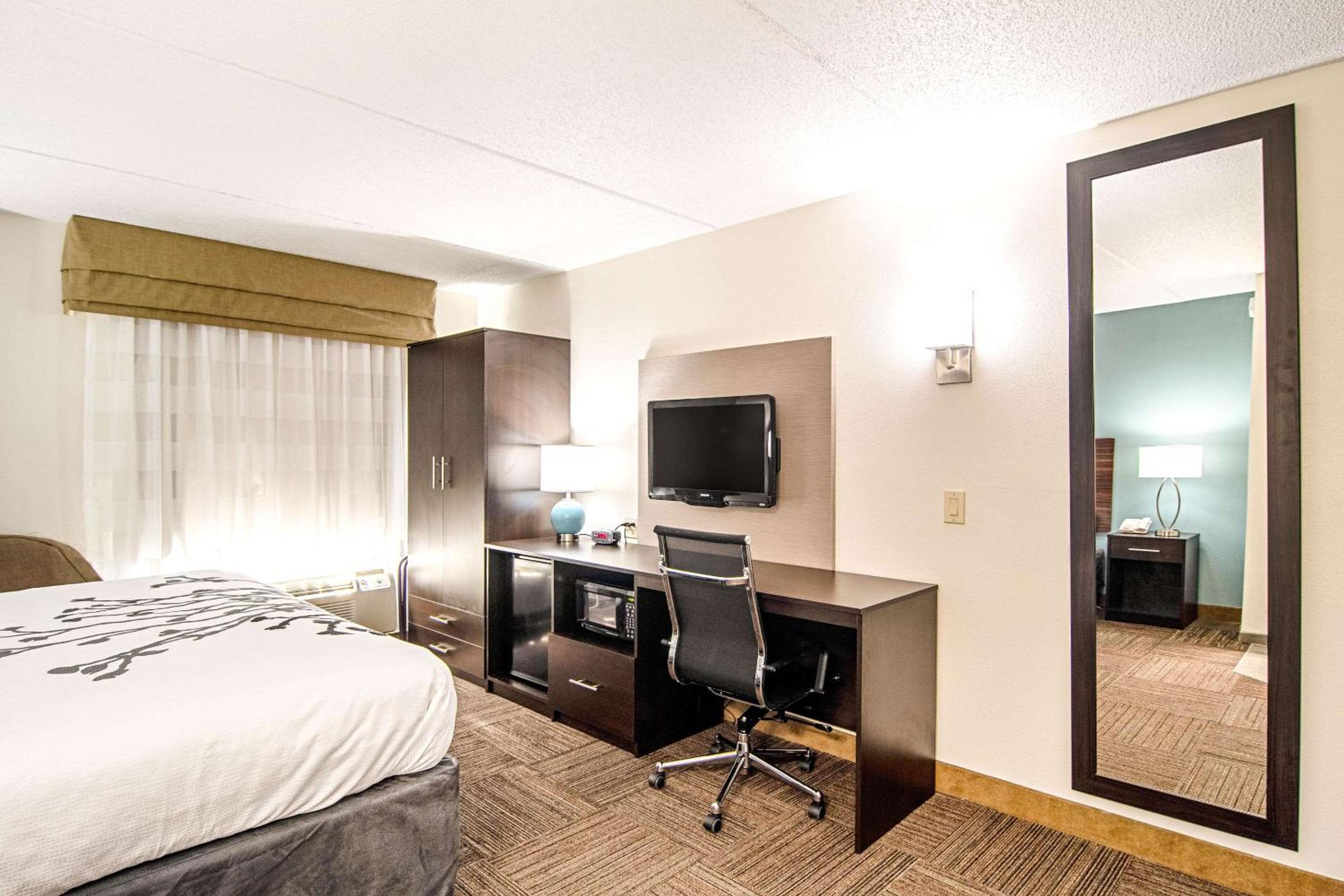 Queen Room - Disability Access - Photo 11