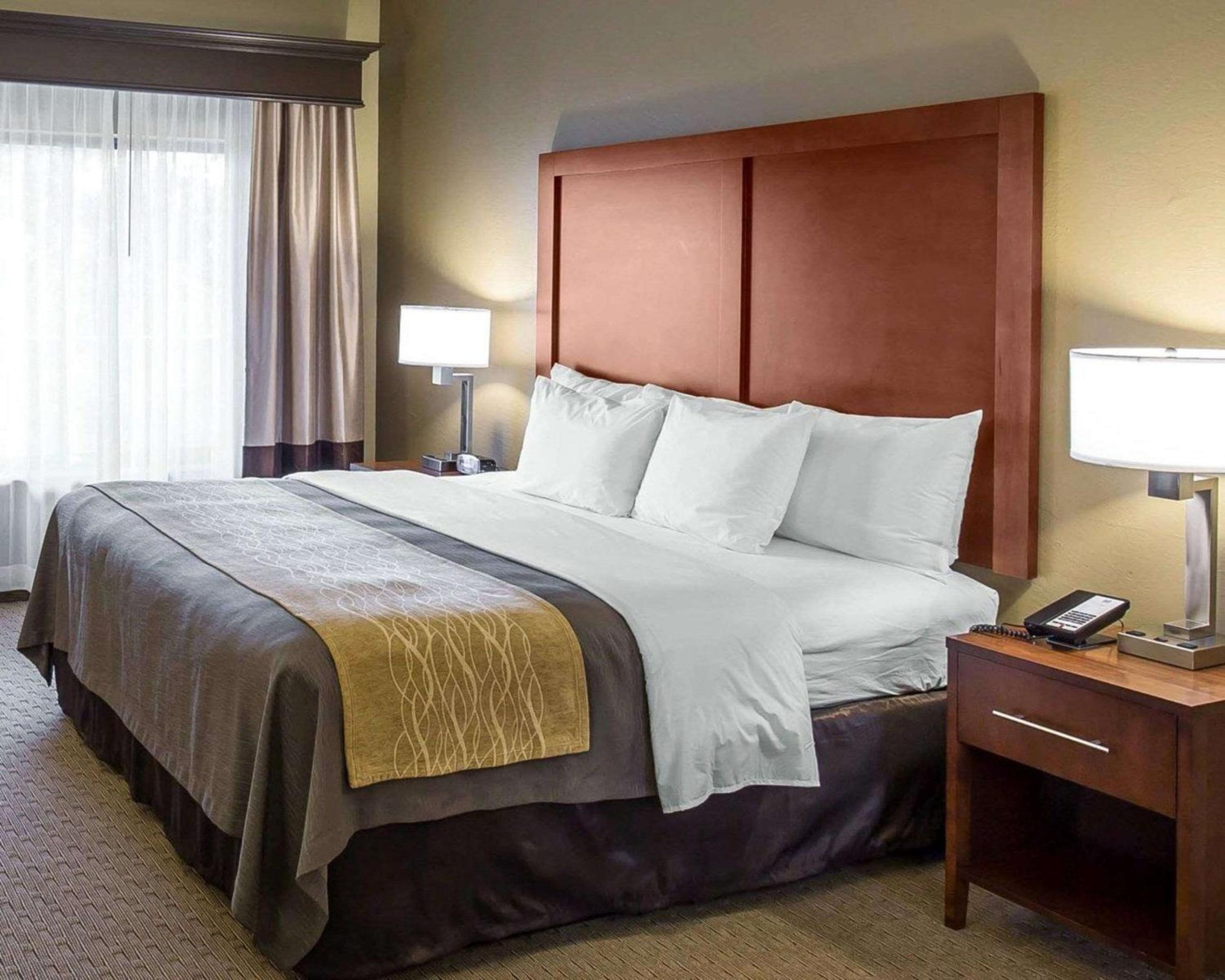 Standard King Room photo 3