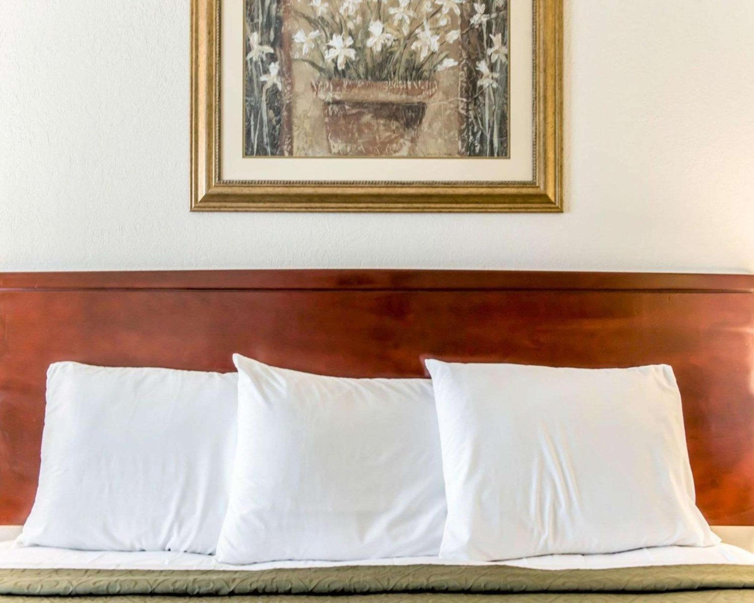 Queen Room with Roll-In Shower - Accessible/Non-Smoking photo 2