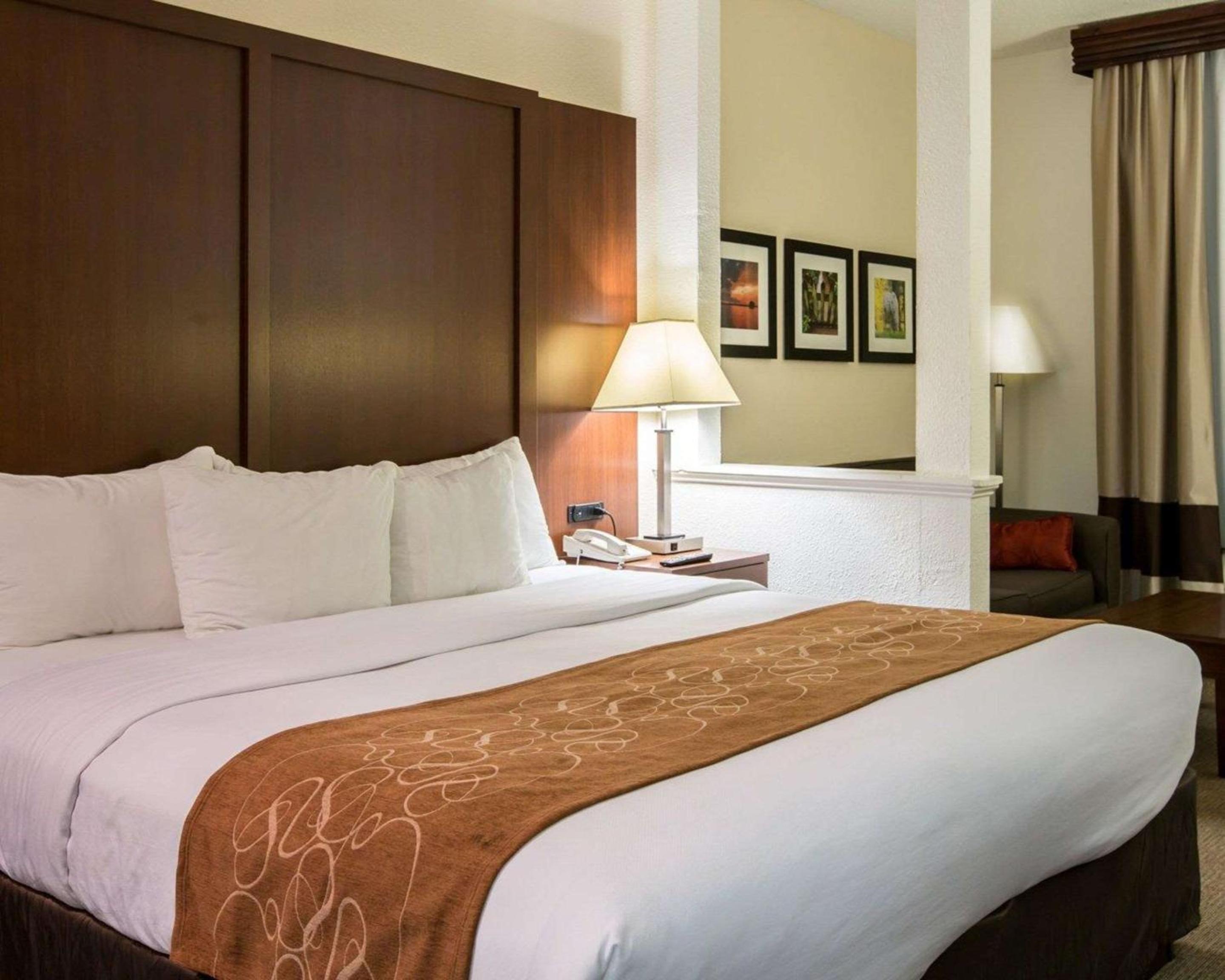 Comfort Suites Cumming-Atlanta near Northside Hospital Forsyth, Zdjęcie 8