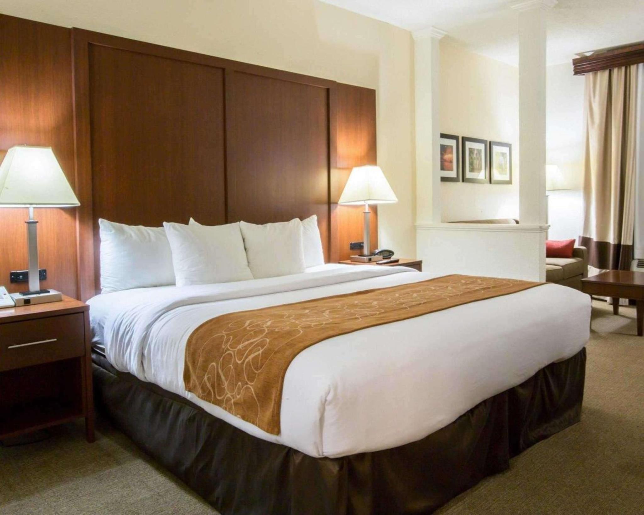 Comfort Suites Cumming-Atlanta near Northside Hospital Forsyth, Zdjęcie 10