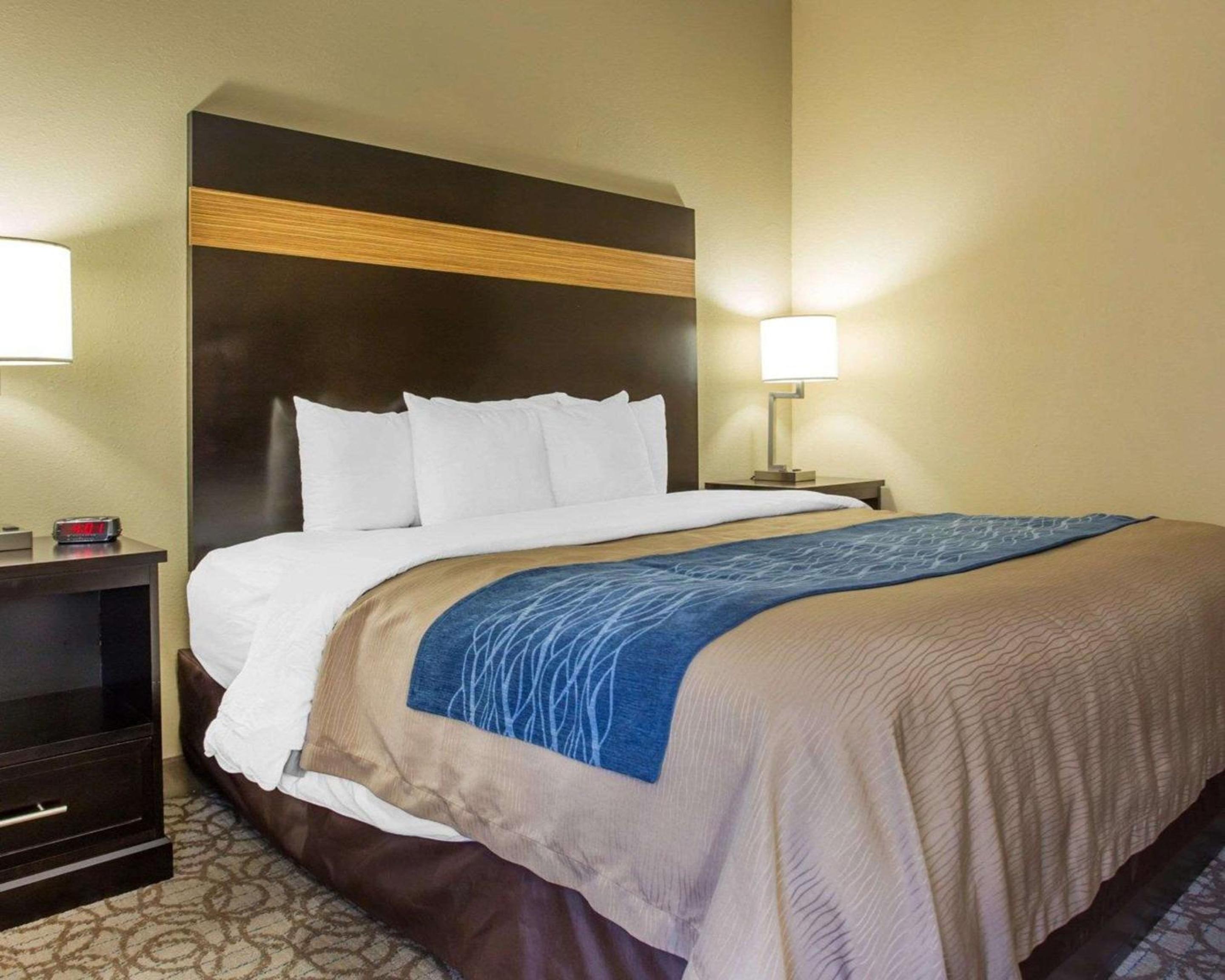 Standard Room, 1 King Bed, Non-Smoking, Accessible - Photo 8