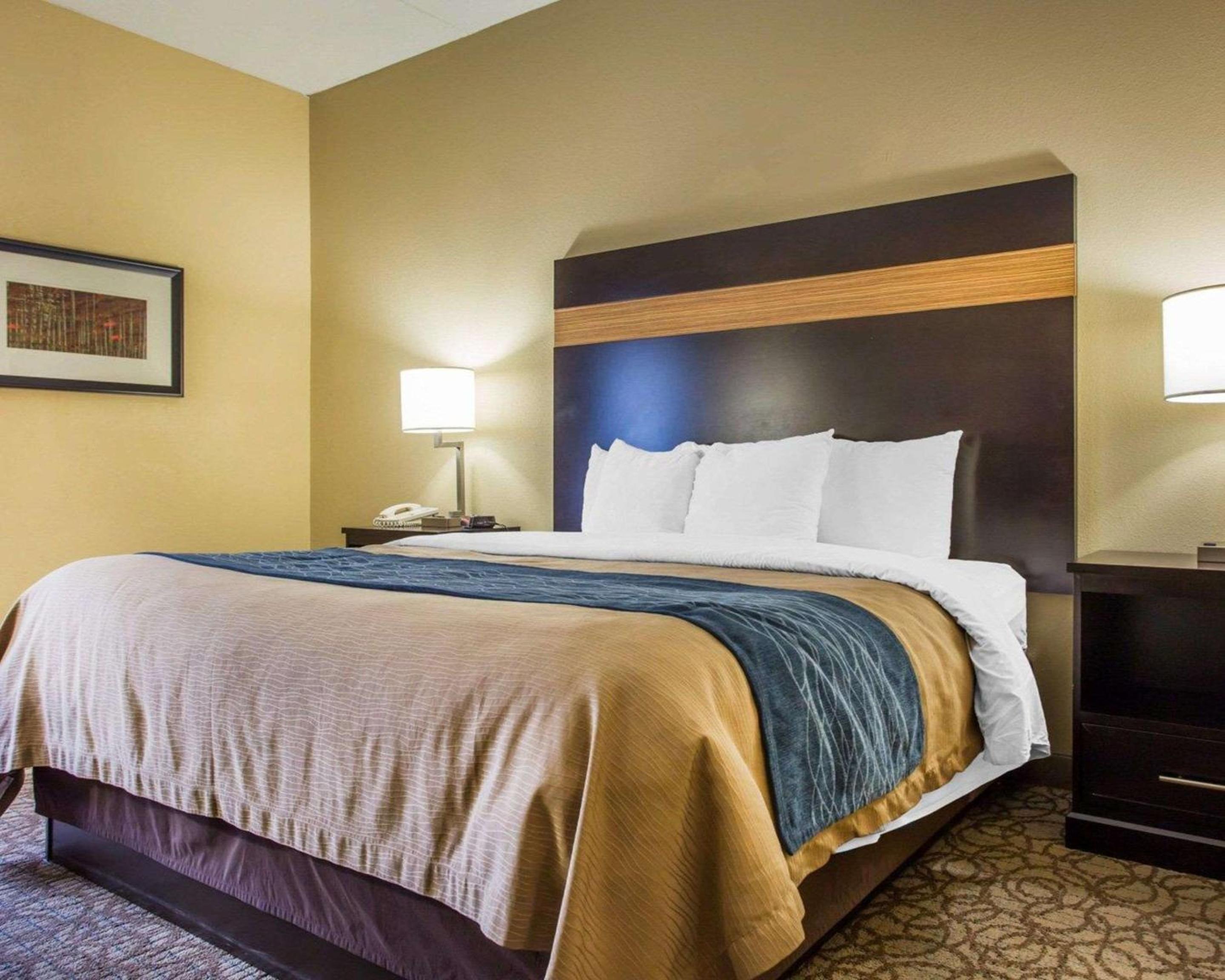 Standard Room, 1 King Bed, Non-Smoking, Accessible - Photo 7