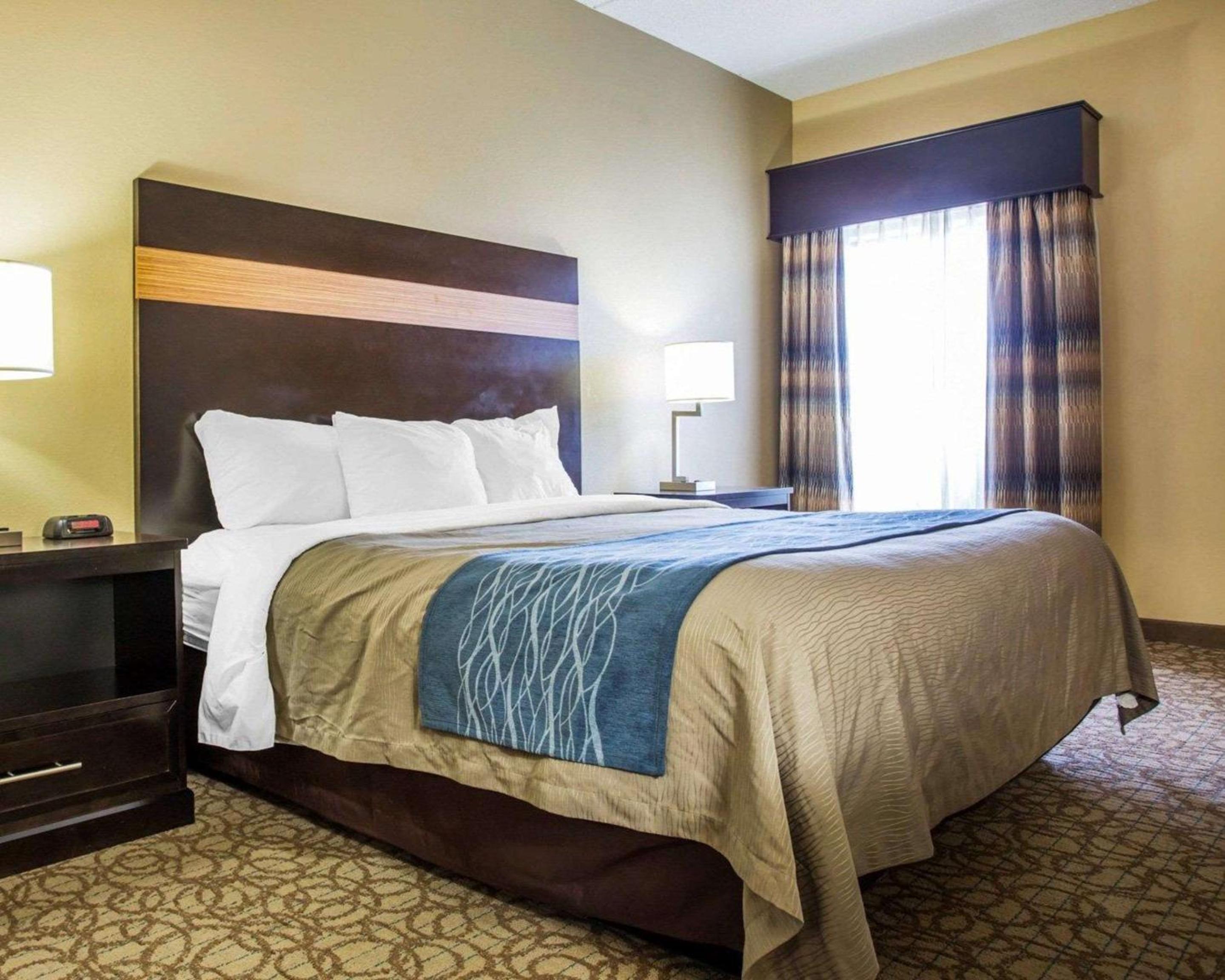 Standard Room, 1 King Bed, Non-Smoking, Accessible - Photo 6