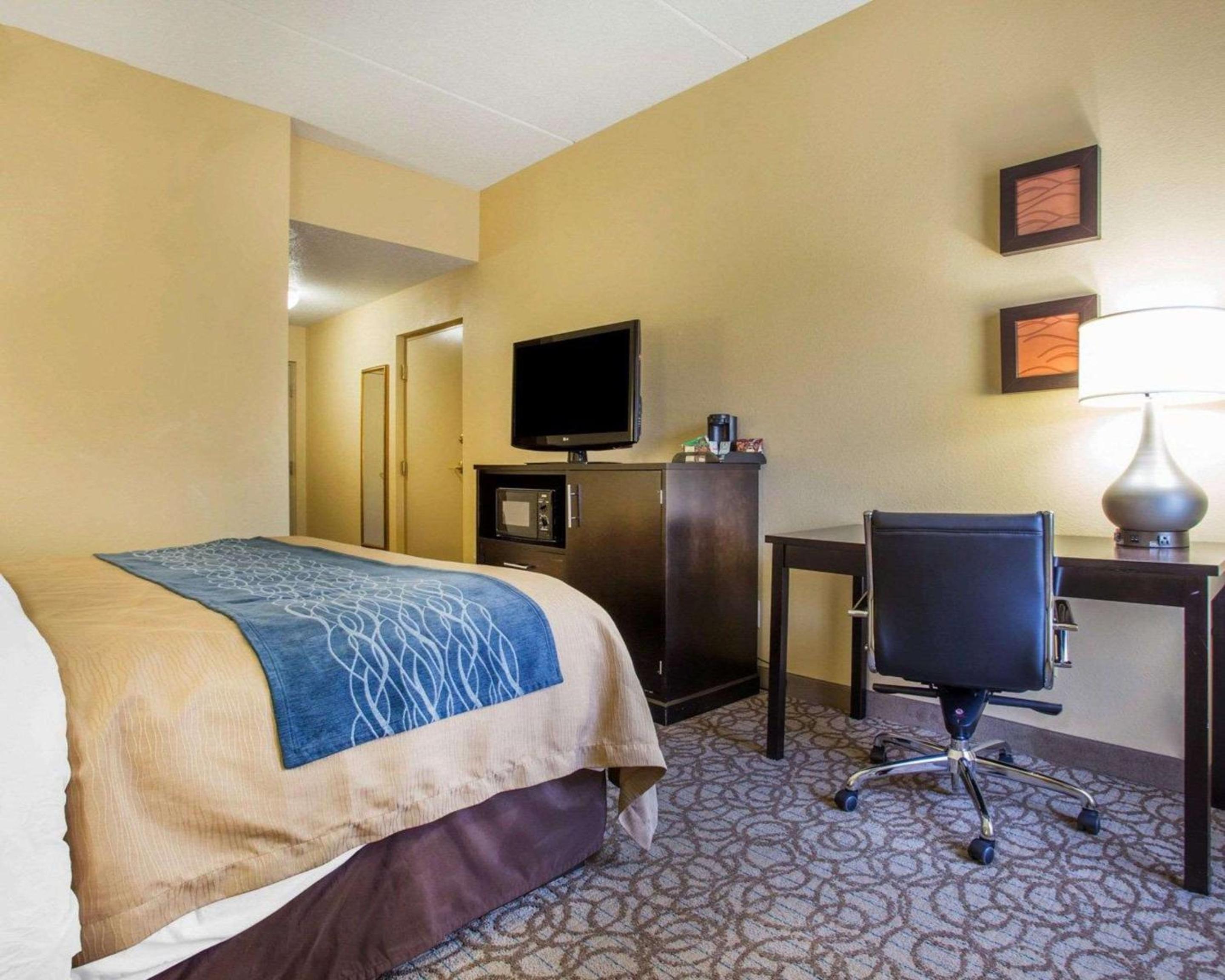 Standard Room, 1 King Bed, Non-Smoking, Accessible - Photo 5