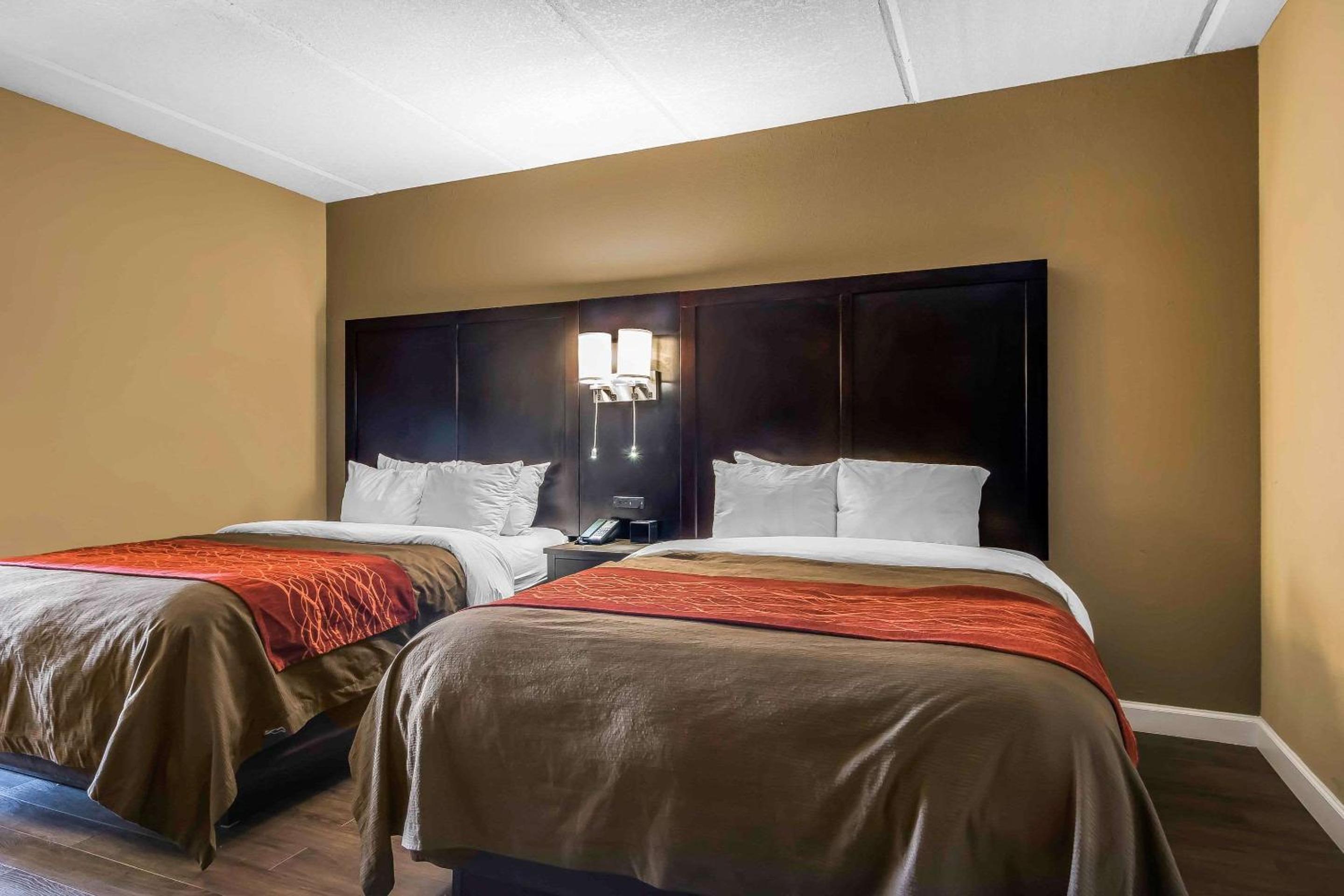 Queen Suite with Two Queen Beds and Sofa Bed - Photo 3
