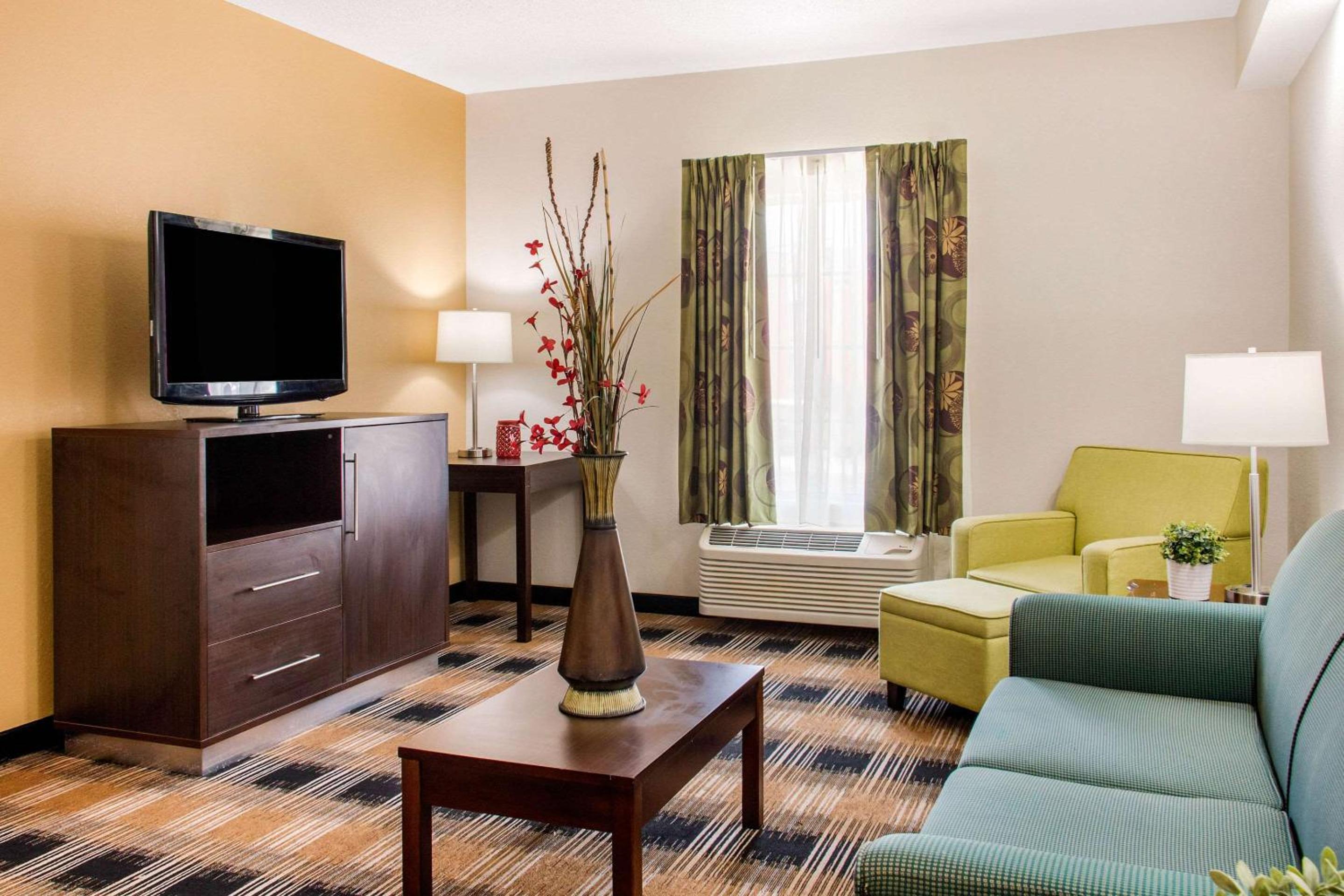 King Suite with Sofa Bed - Non-Smoking - Photo 1