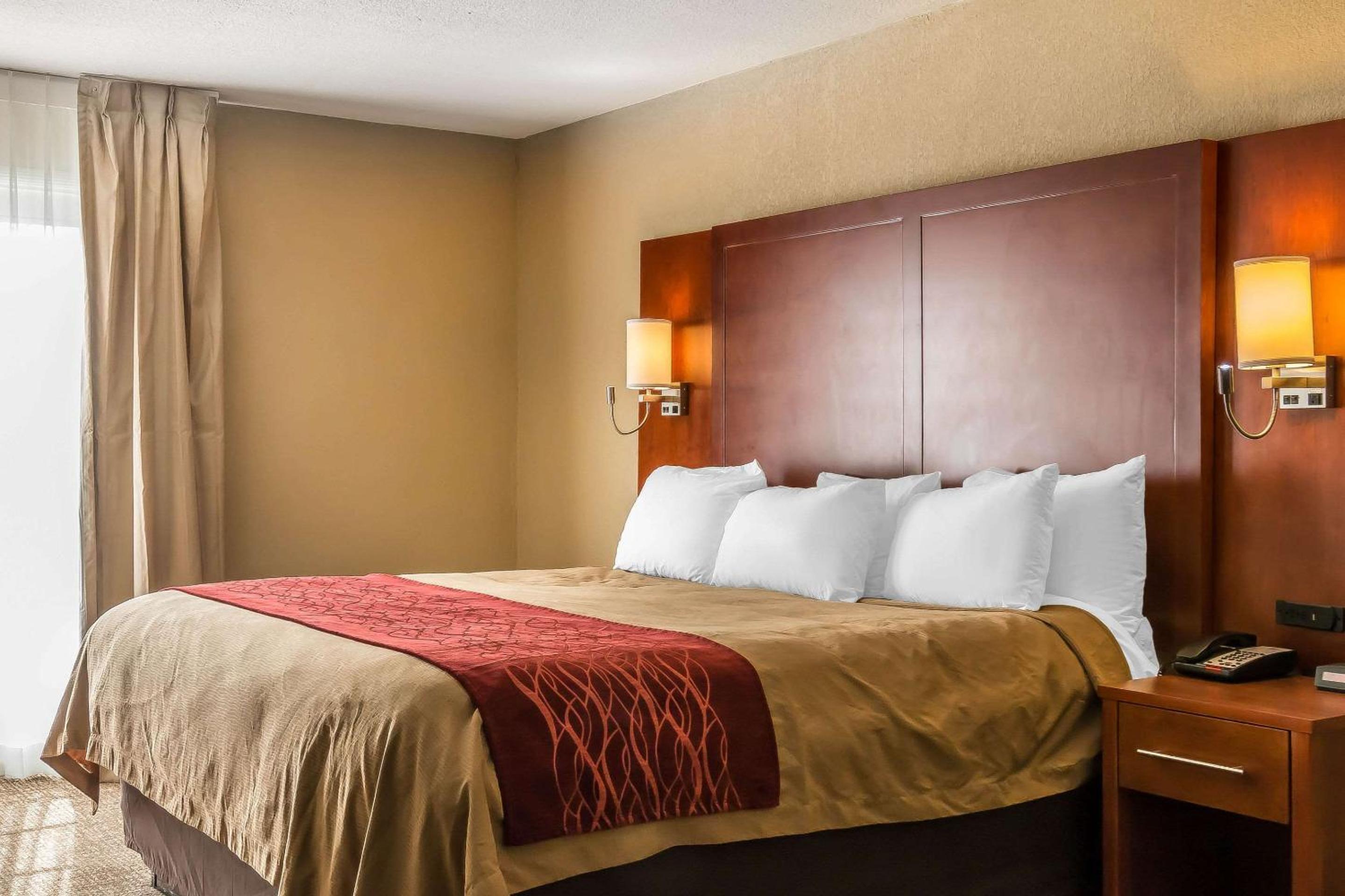 King Suite - Photo 6