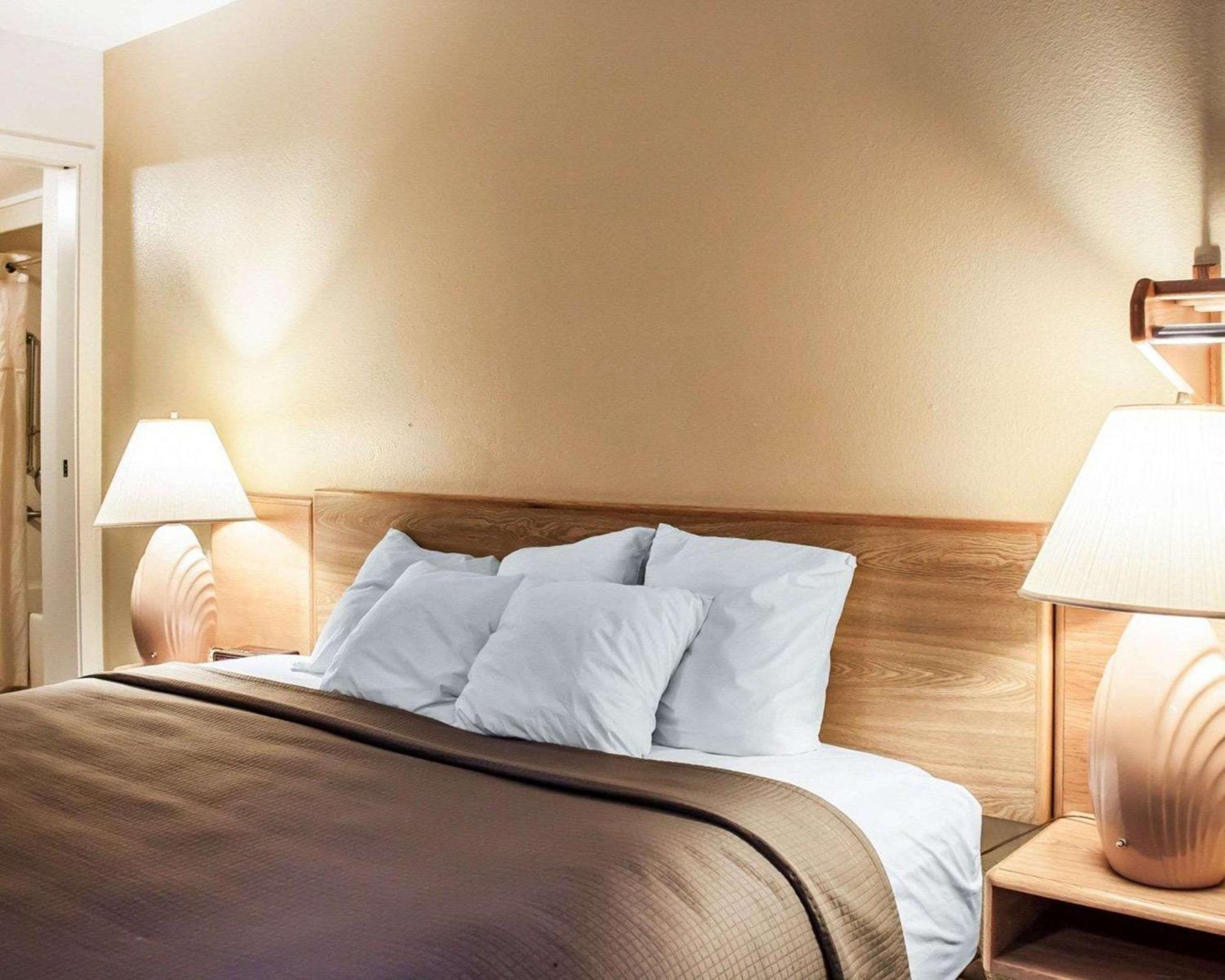 King Room -Non Smoking/Pet Friendly photo 1