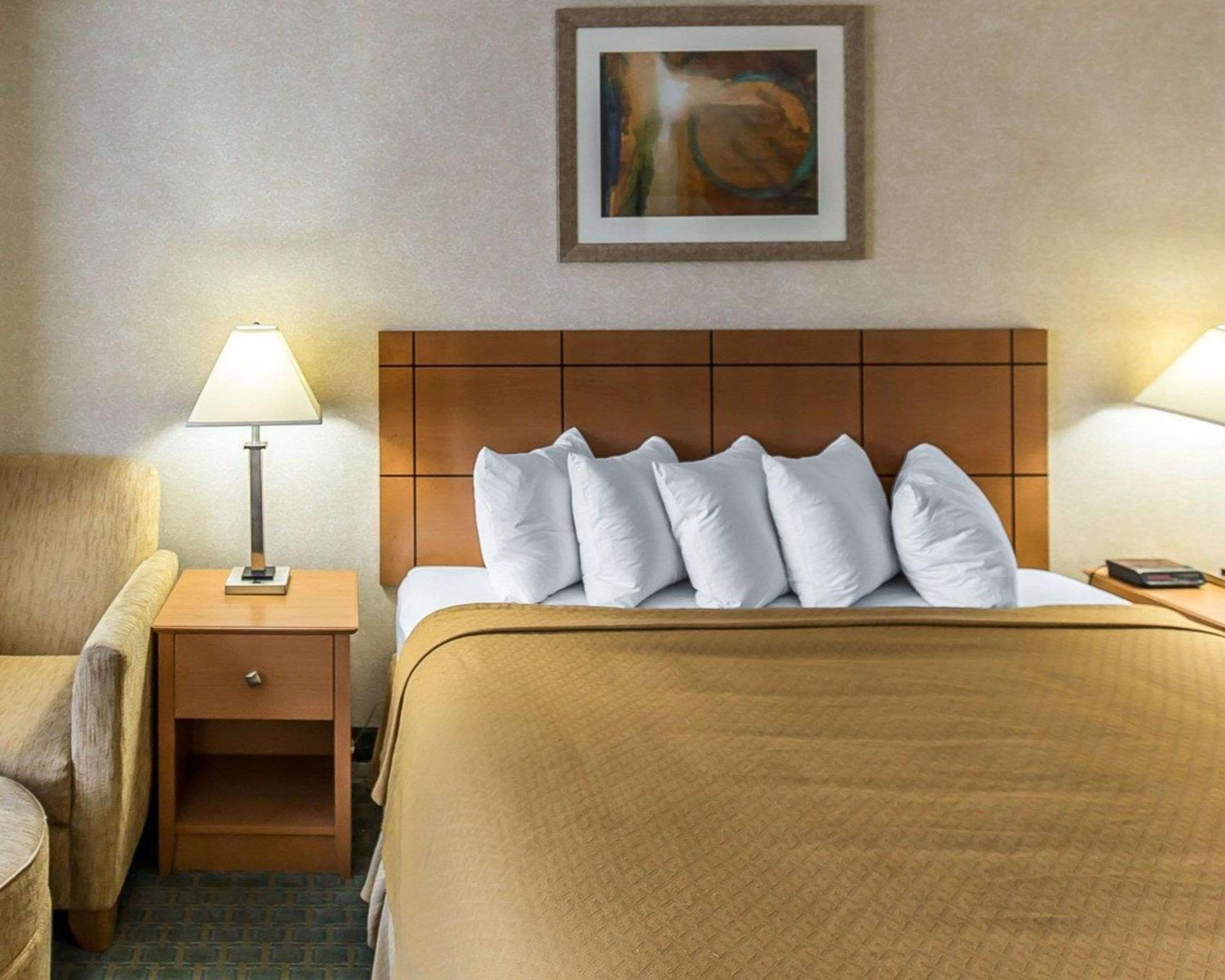 One Room Suite with Sofa bed - Non Smoking photo 2