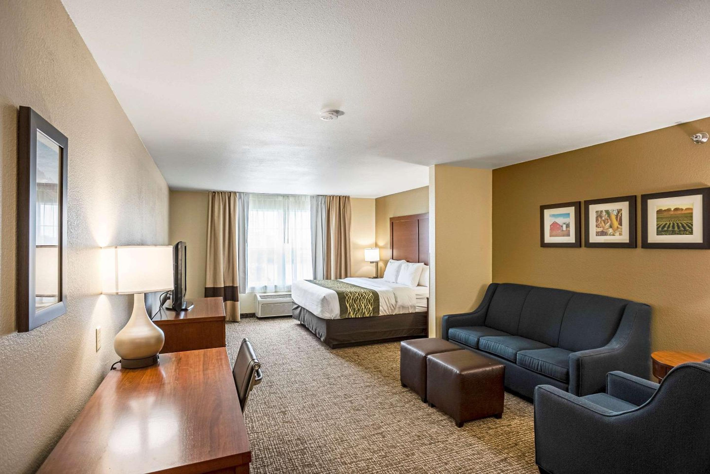 King Suite with Sofa Bed - Non-Smoking - Photo 1