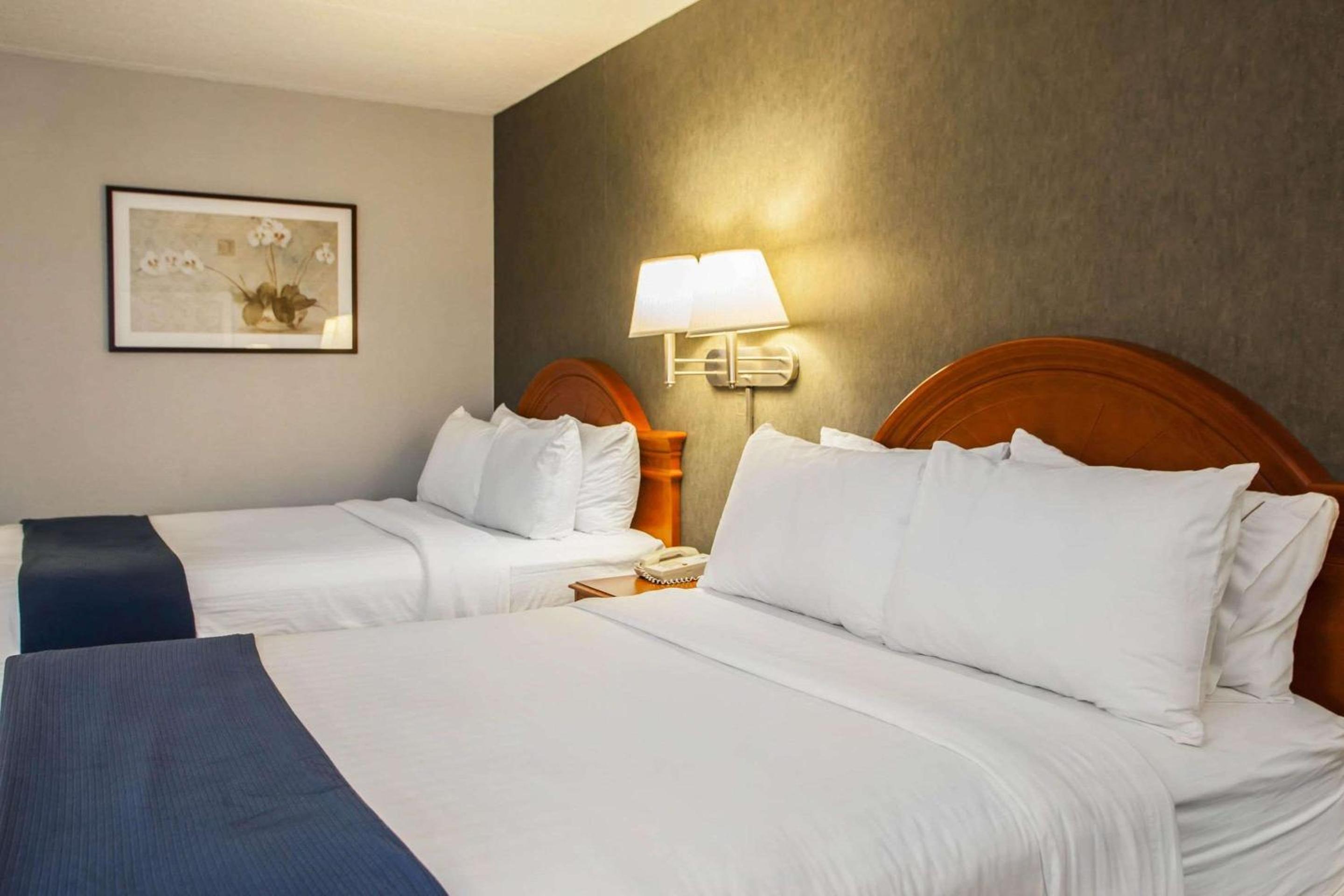 Standard Double Room with Two Double Beds - Photo 2