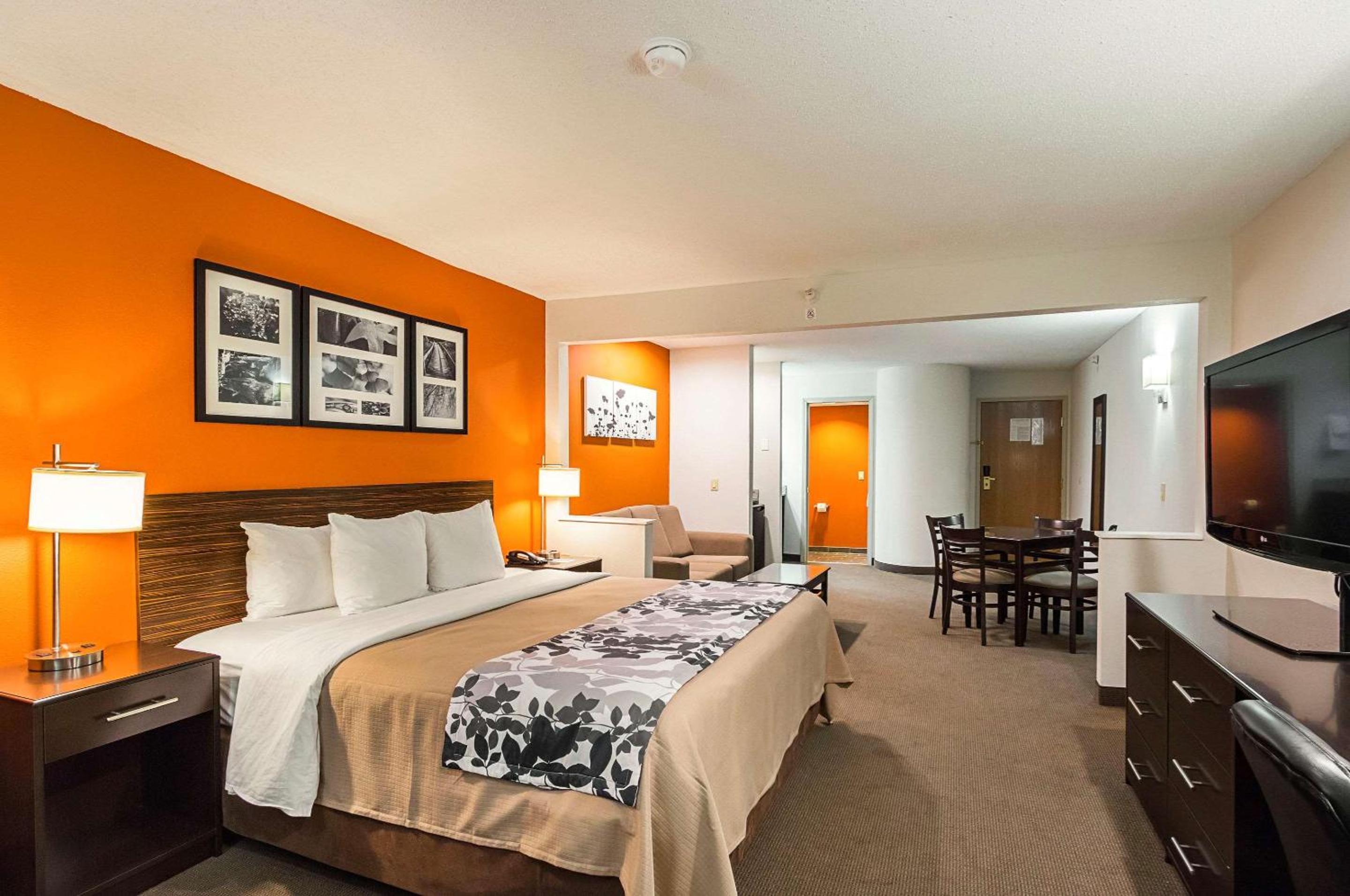 King Suite - Accessible/Non-Smoking - Photo 4