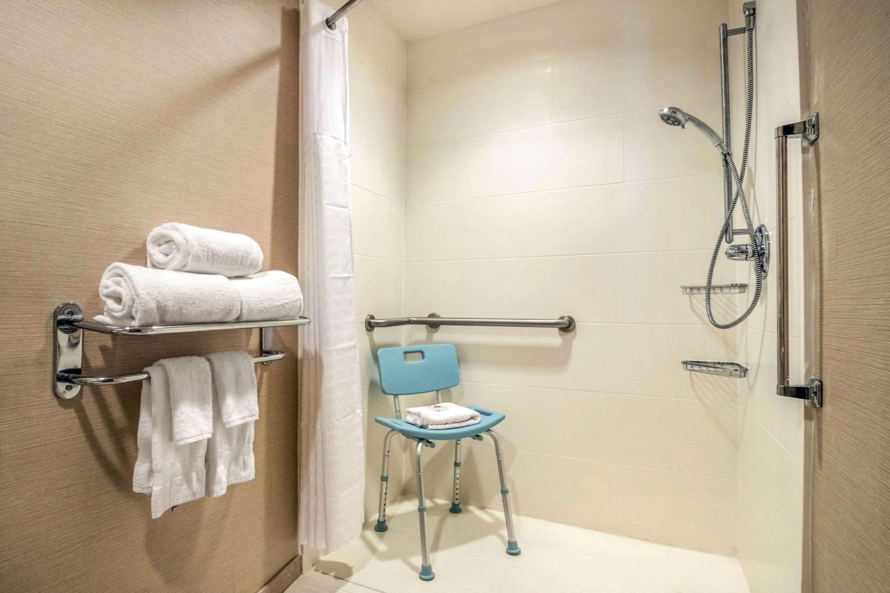King Room with Roll-in-Shower - Accessible/Non-Smoking - Photo 3