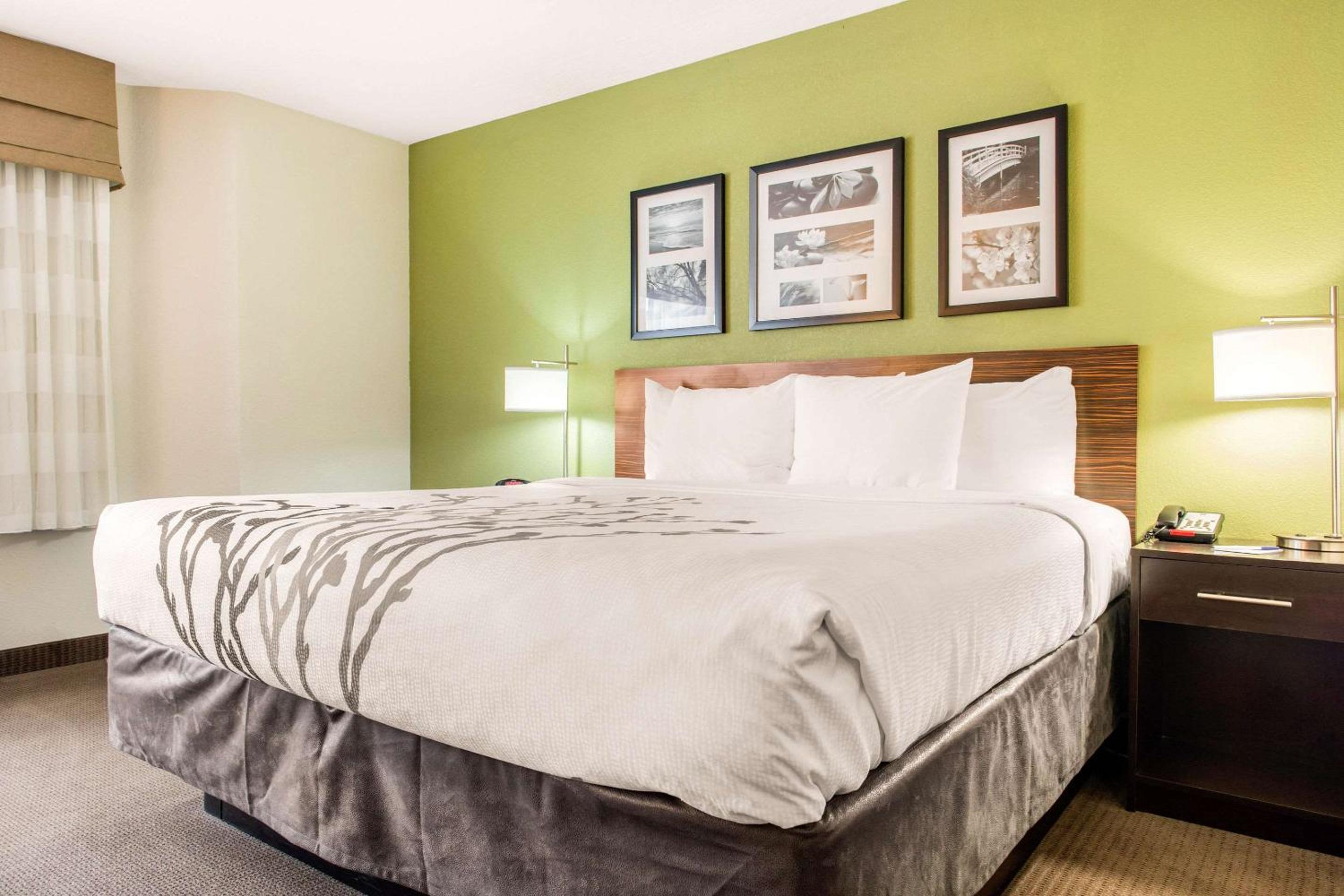 King Suite with Whirlpool and Sofa Bed - Non-Smoking - Photo 1