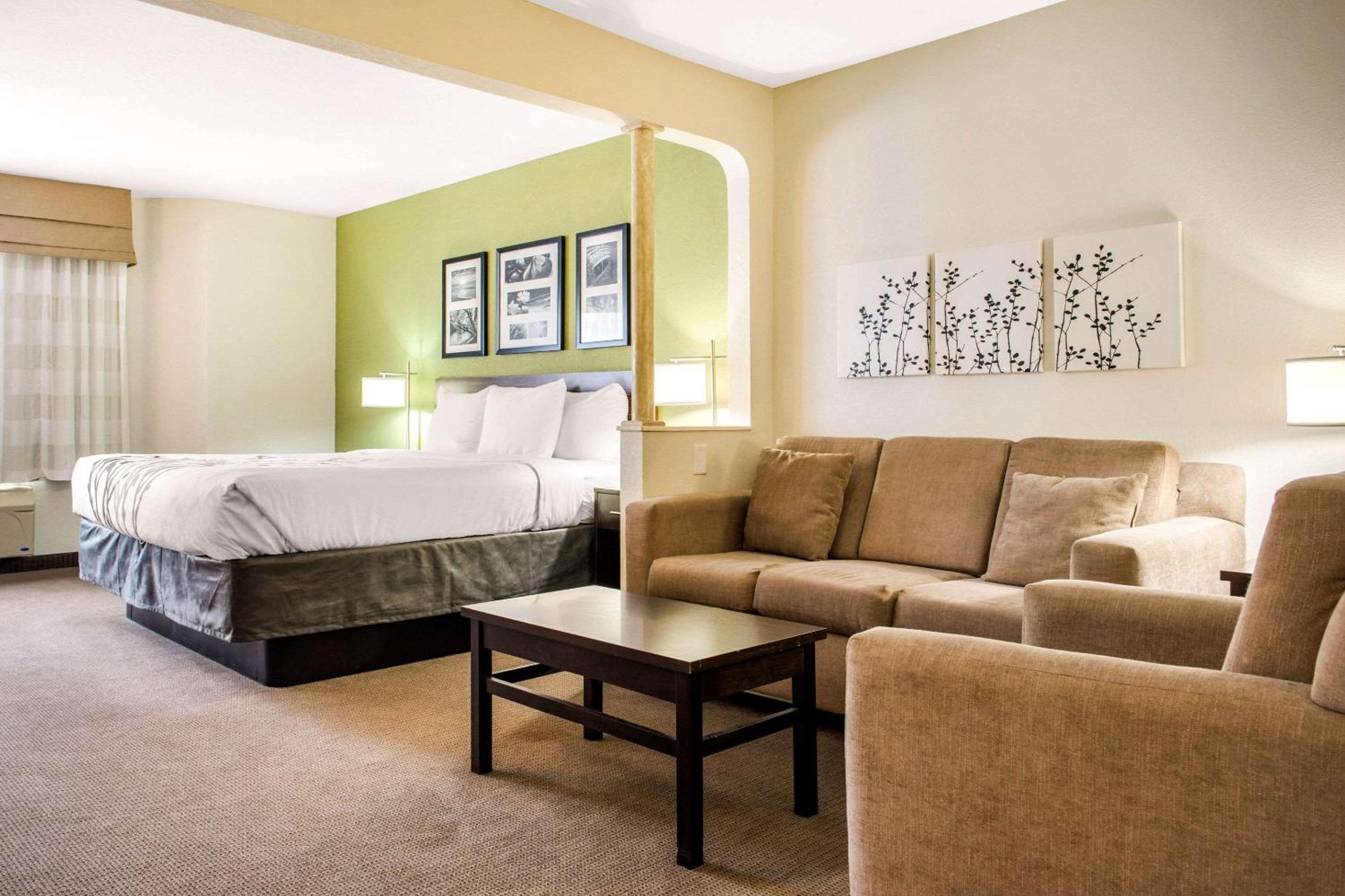 King Suite with Whirlpool and Sofa Bed - Non-Smoking - Photo 3