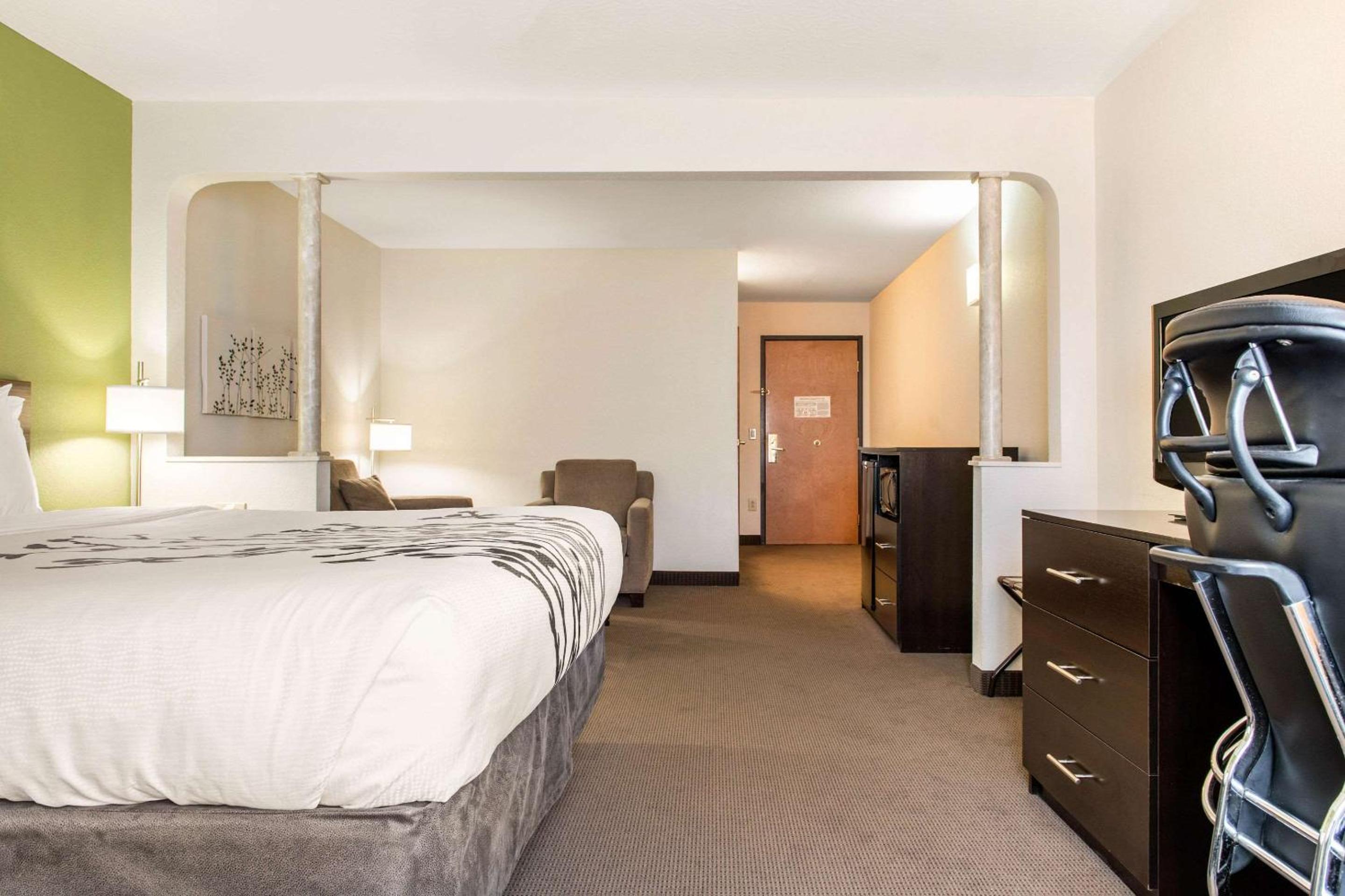 King Suite with Whirlpool and Sofa Bed - Non-Smoking - Photo 6