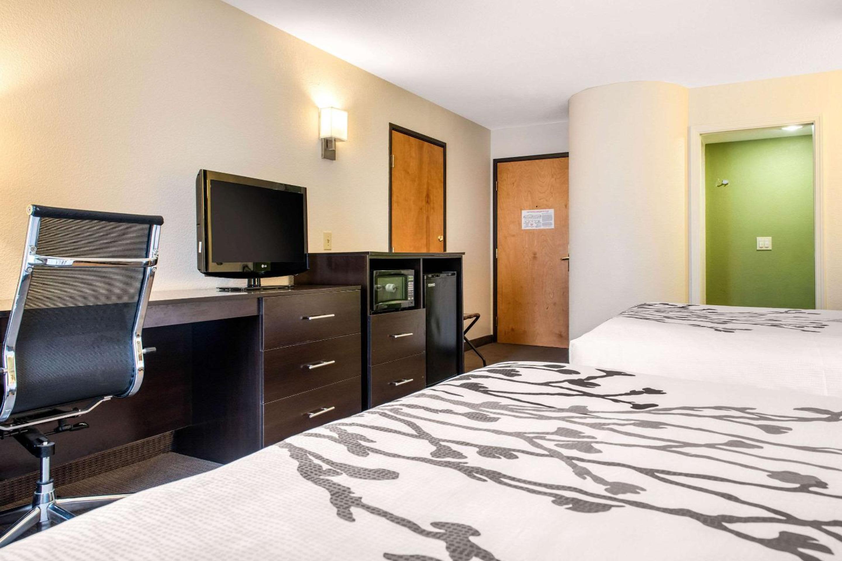 Queen Suite with Sofa Bed - Non-Smoking - Photo 4