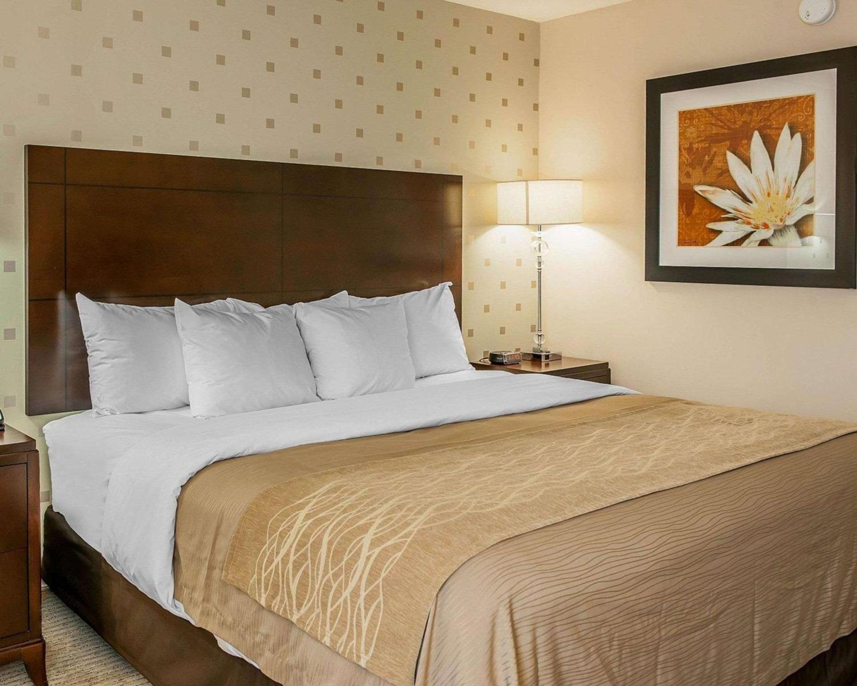 King Room - Non-Smoking - Photo 4