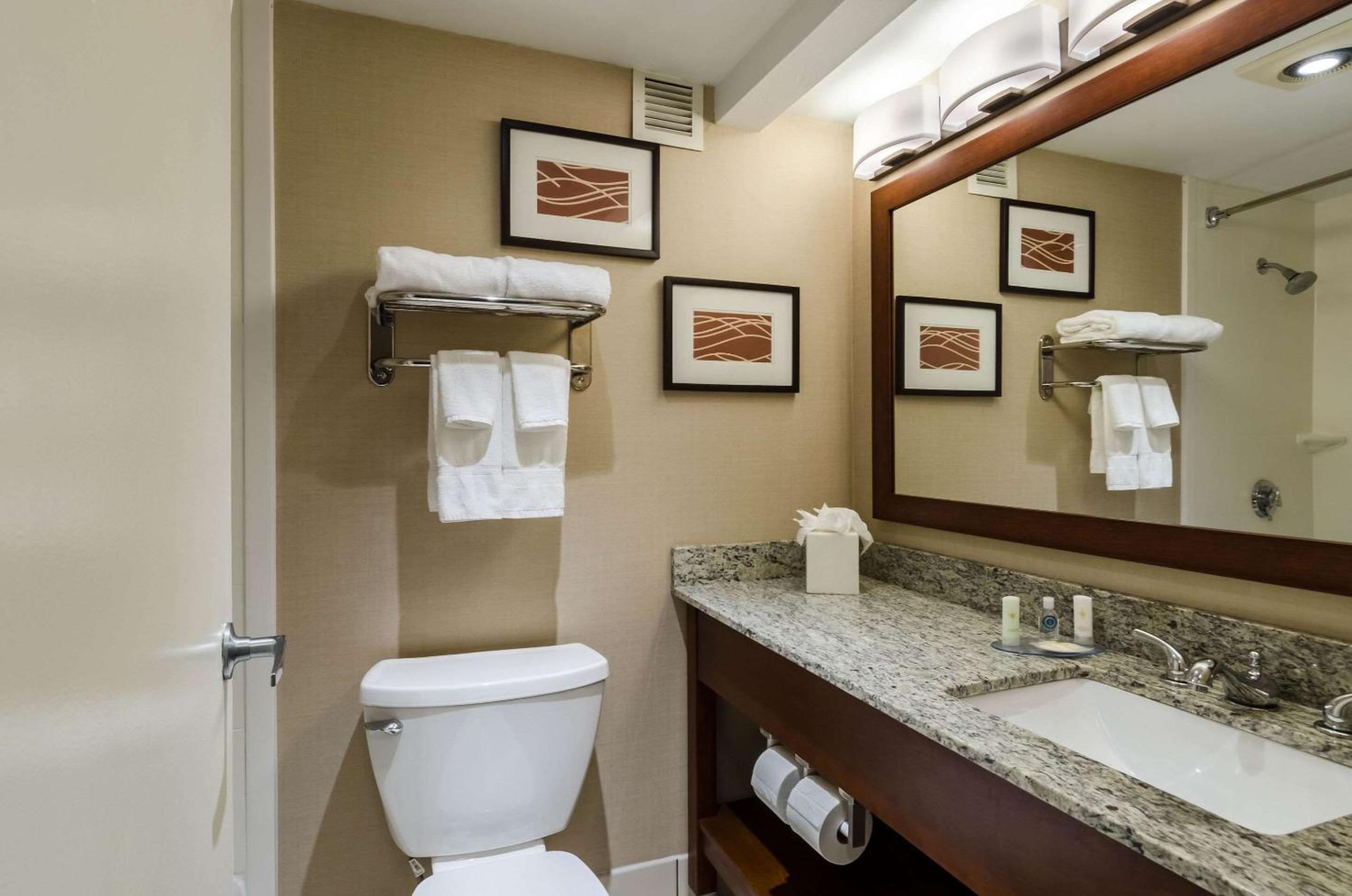 King Room - Non-Smoking - Photo 4
