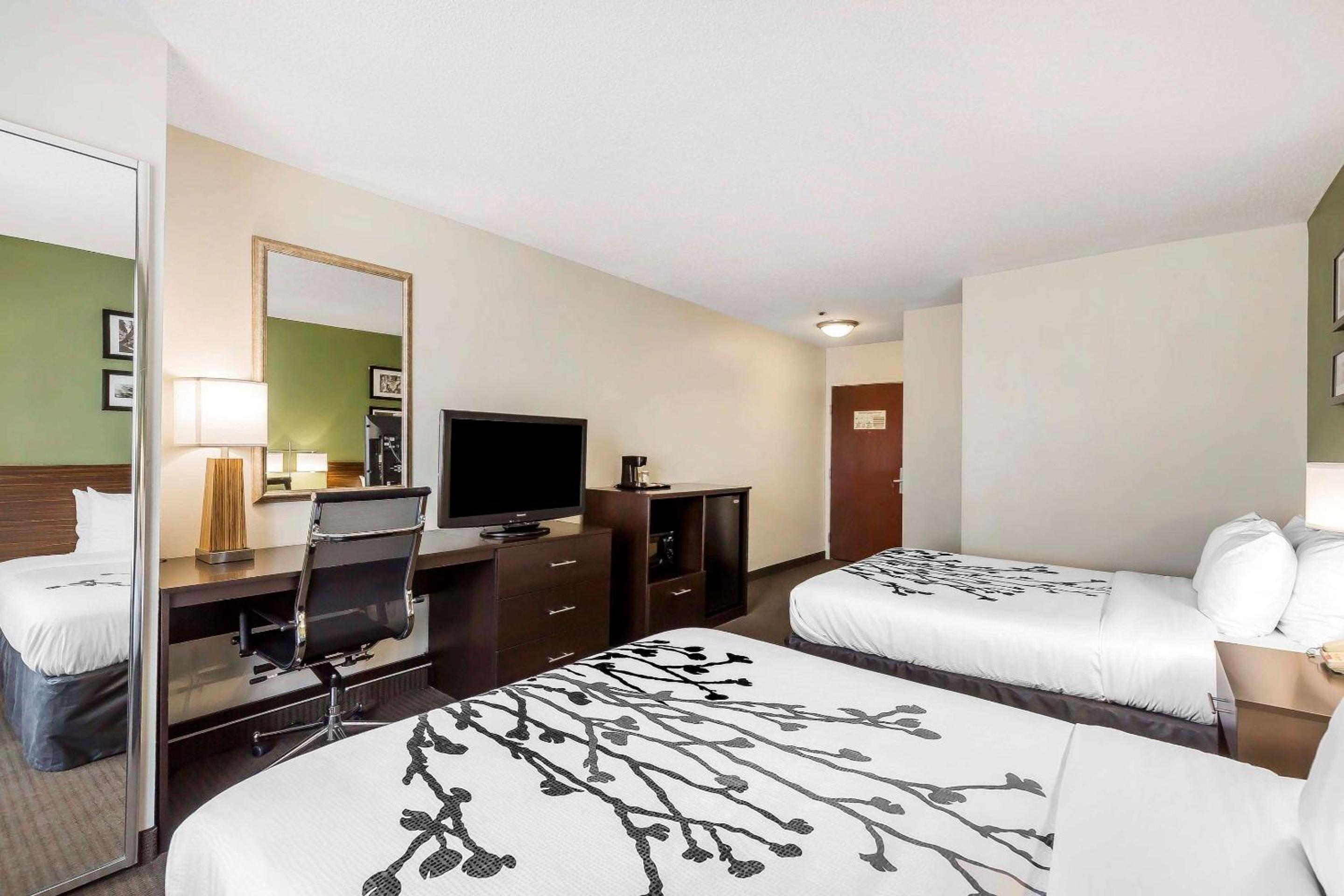 Queen Room with Two Queen Beds - Non-Smoking - Photo 5
