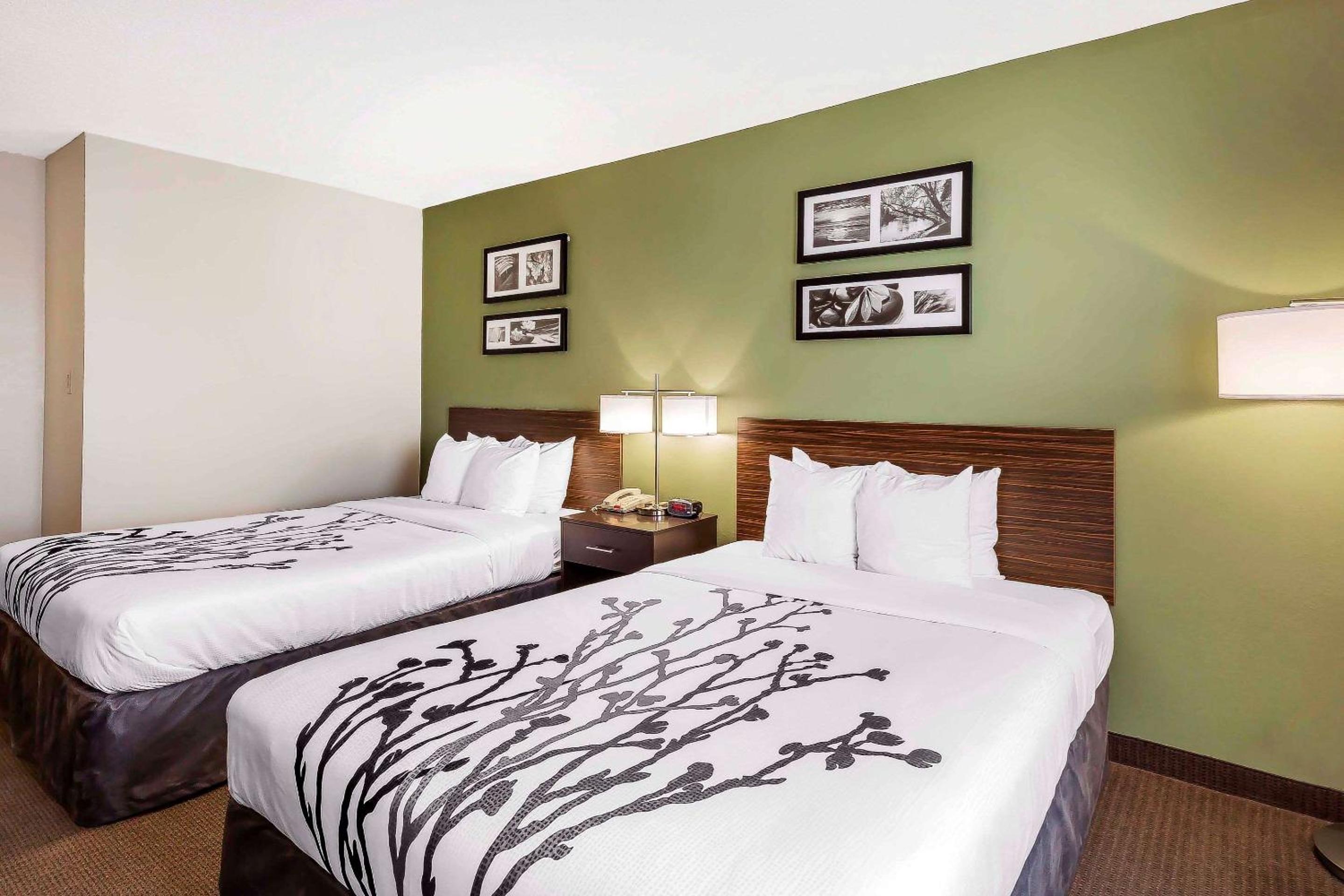 Queen Room with Two Queen Beds - Non-Smoking - Photo 4