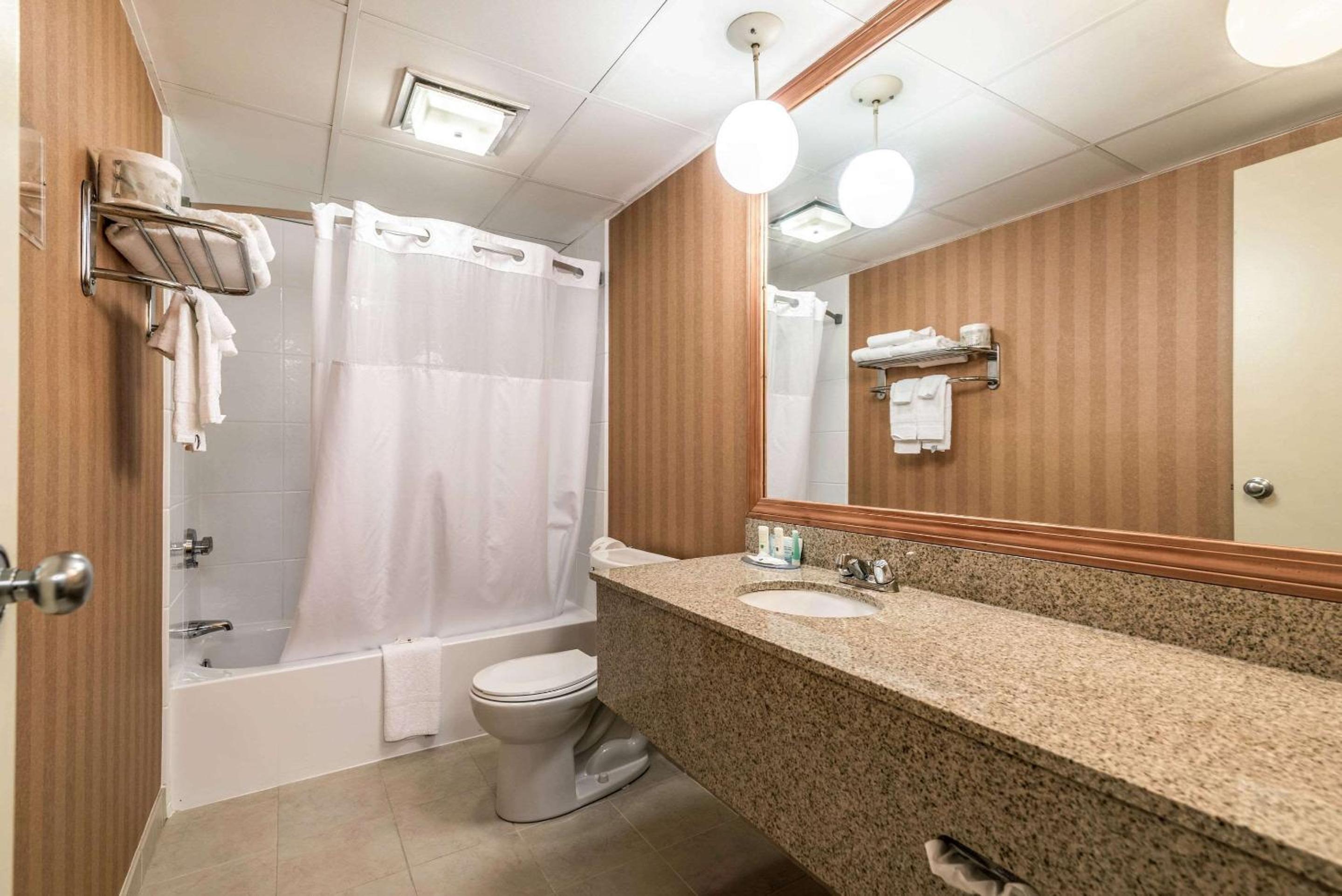 King Suite - Non Smoking/Pet Friendly - Photo 3
