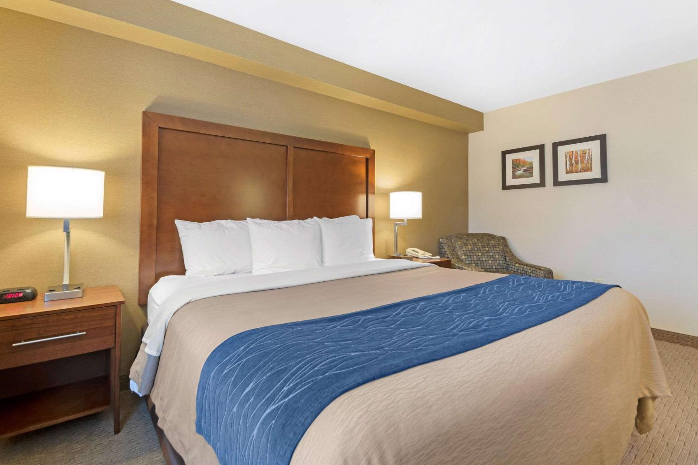 King Room with Roll-In Shower - Accessible/Non-Smoking - Photo 1
