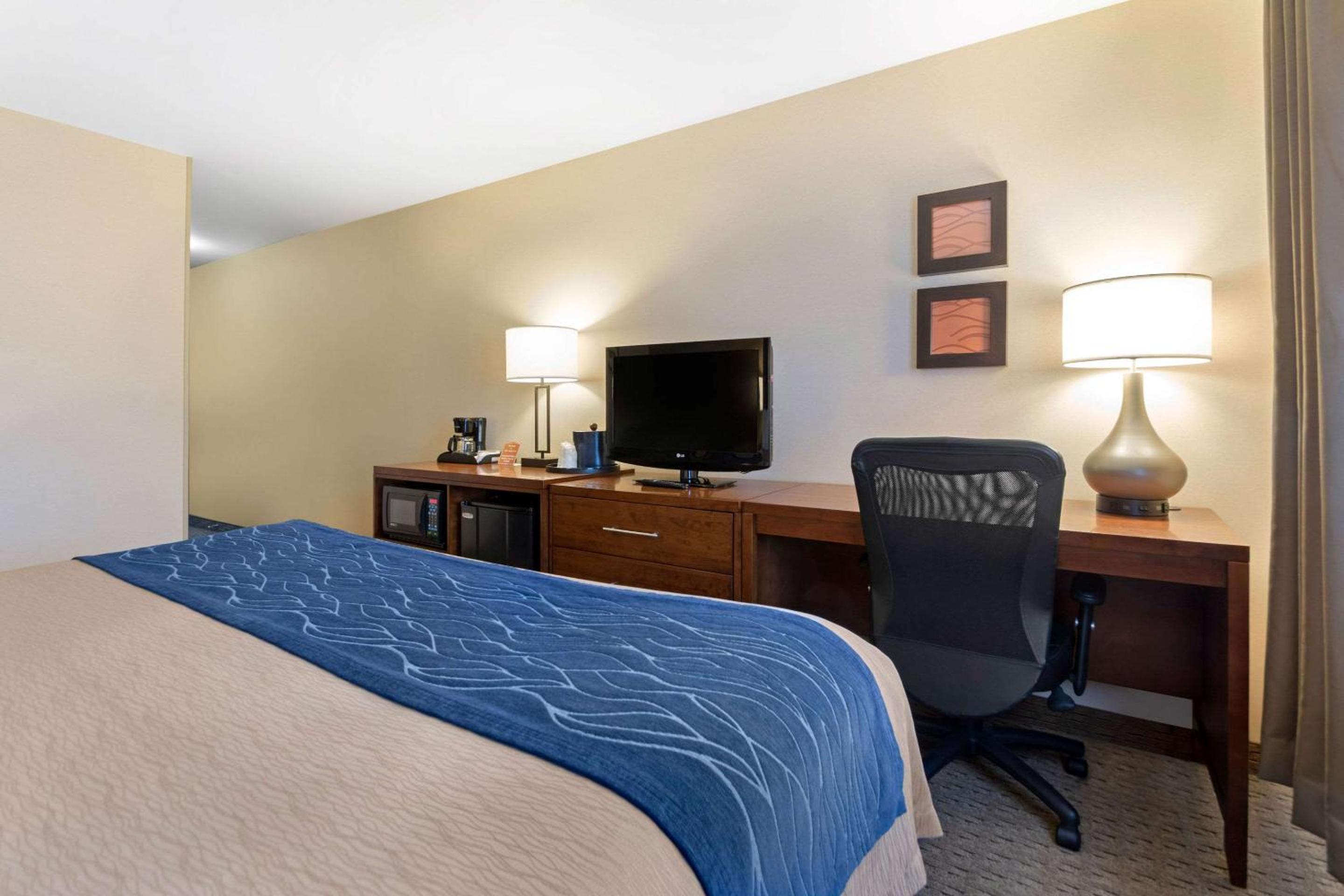 King Room with Roll-In Shower - Accessible/Non-Smoking - Photo 3