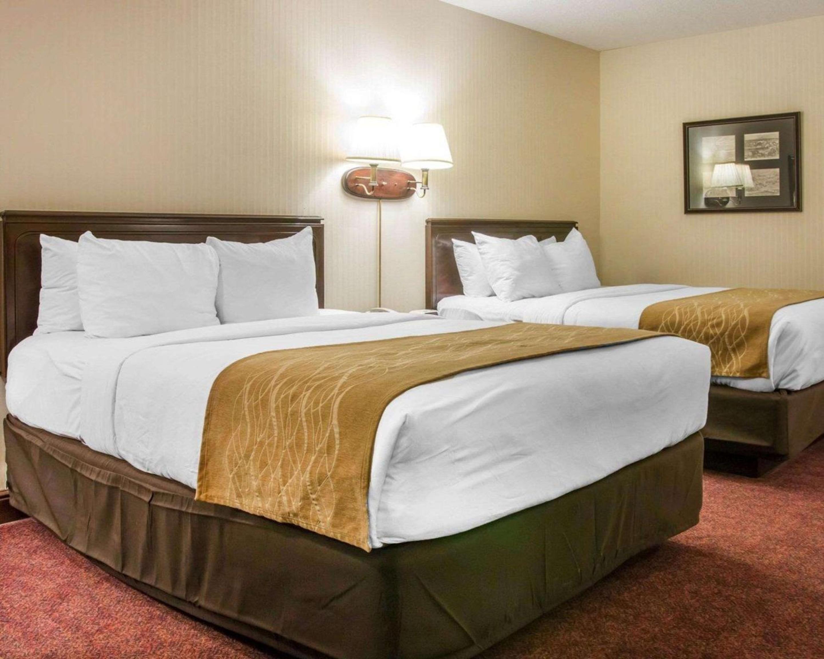 Queen Room with Two Queen Beds photo 1