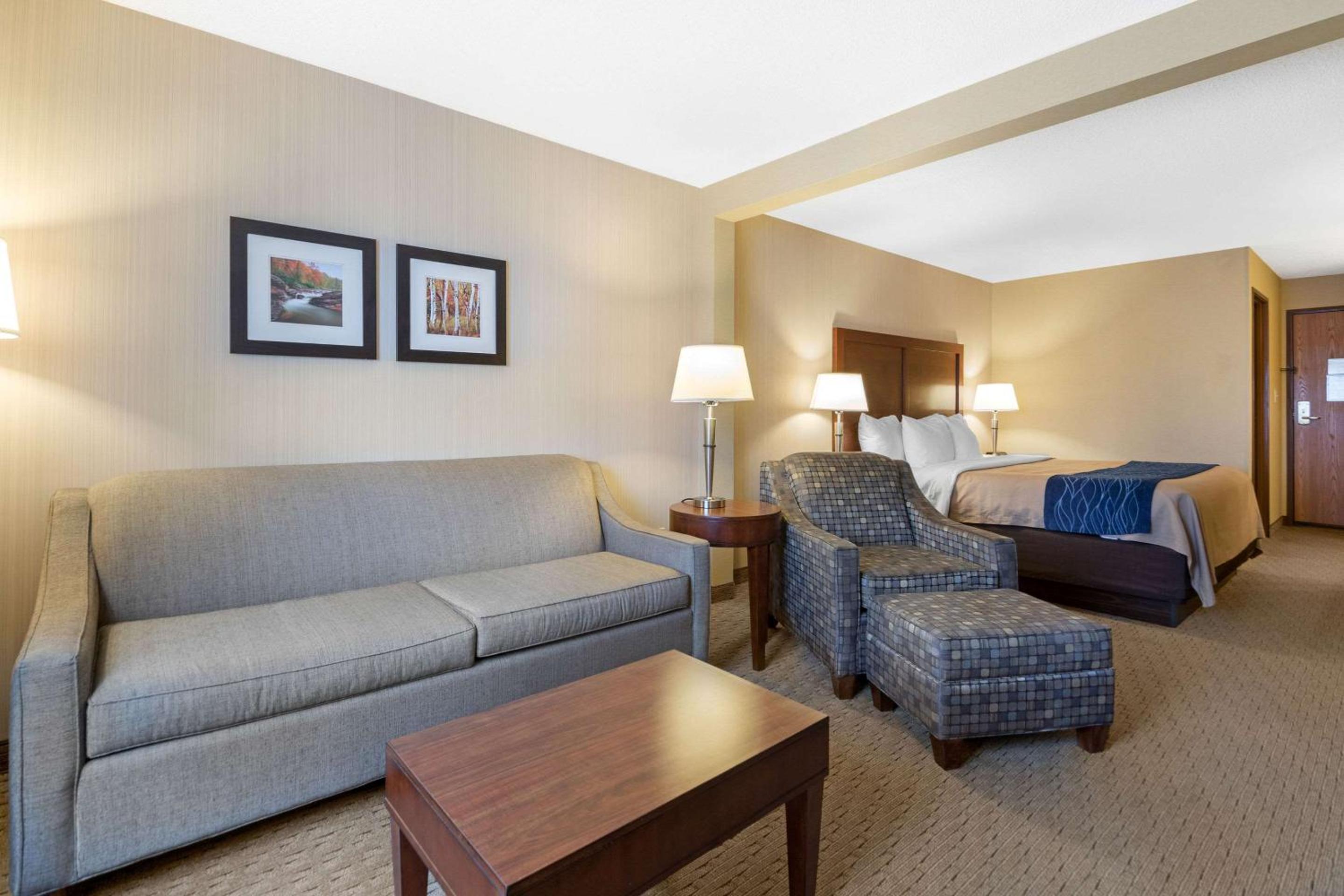 King Suite with Sofa Bed - Non-Smoking - Photo 1