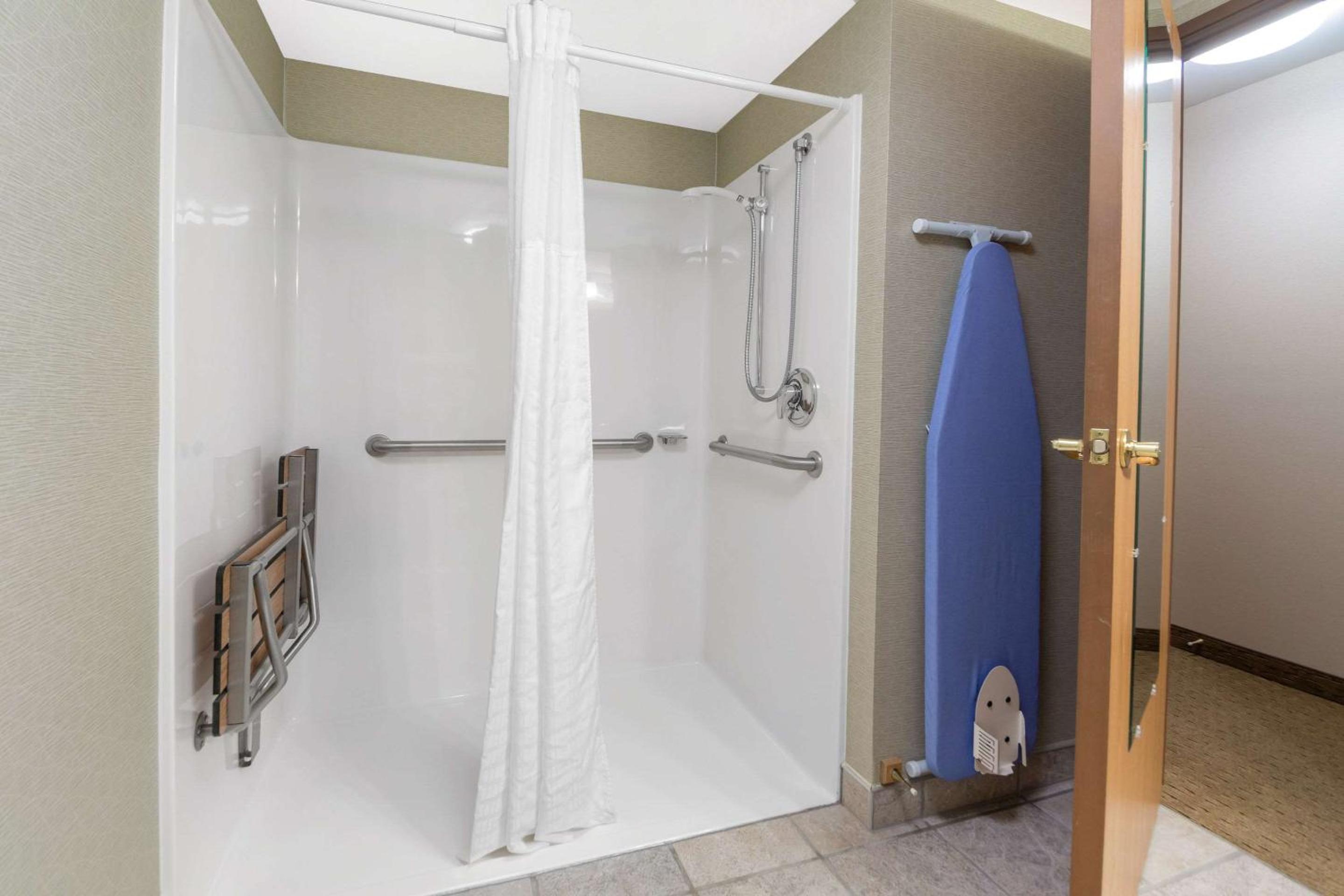 King Room with Roll-In Shower - Accessible/Non-Smoking - Photo 2