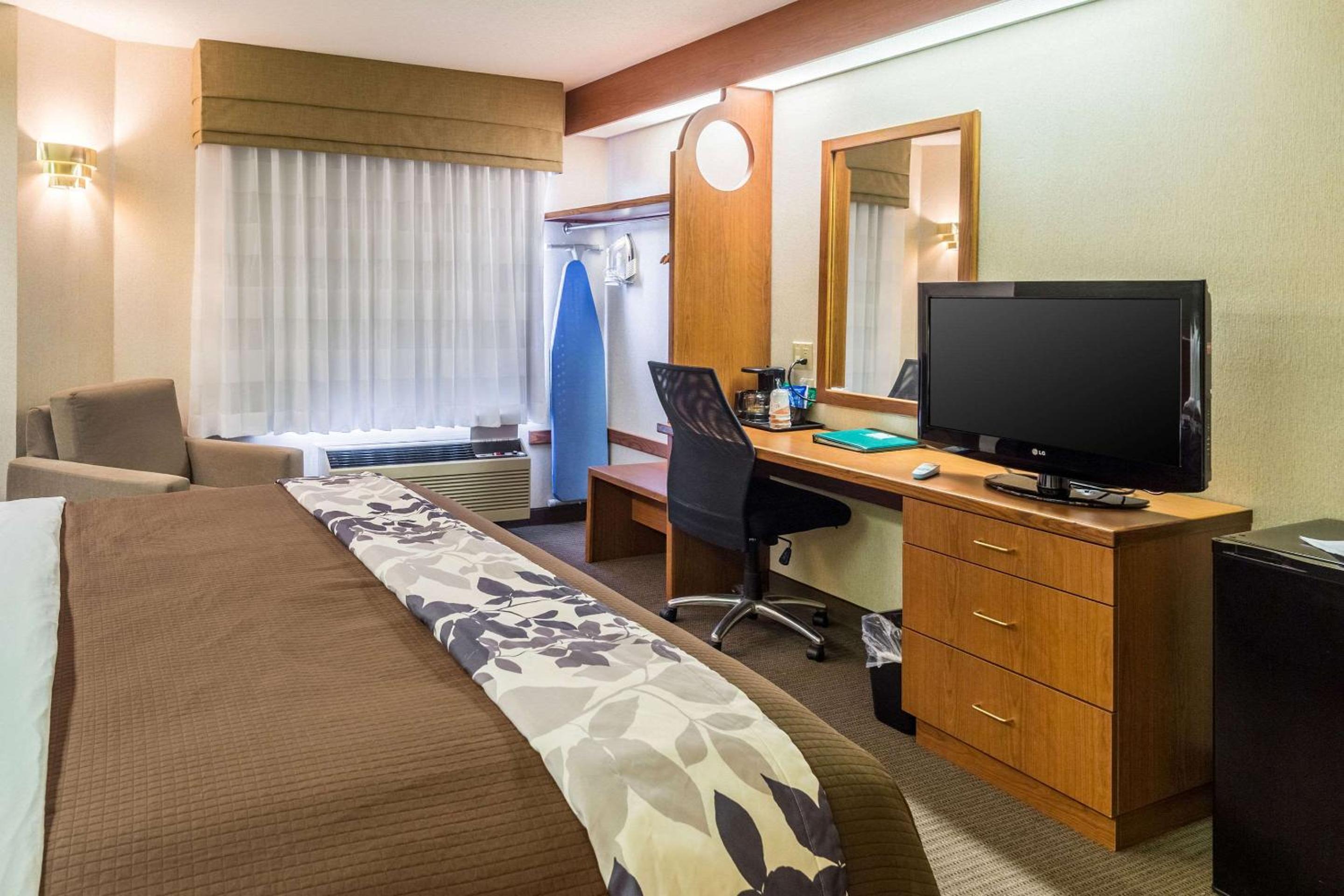 King Room photo 3