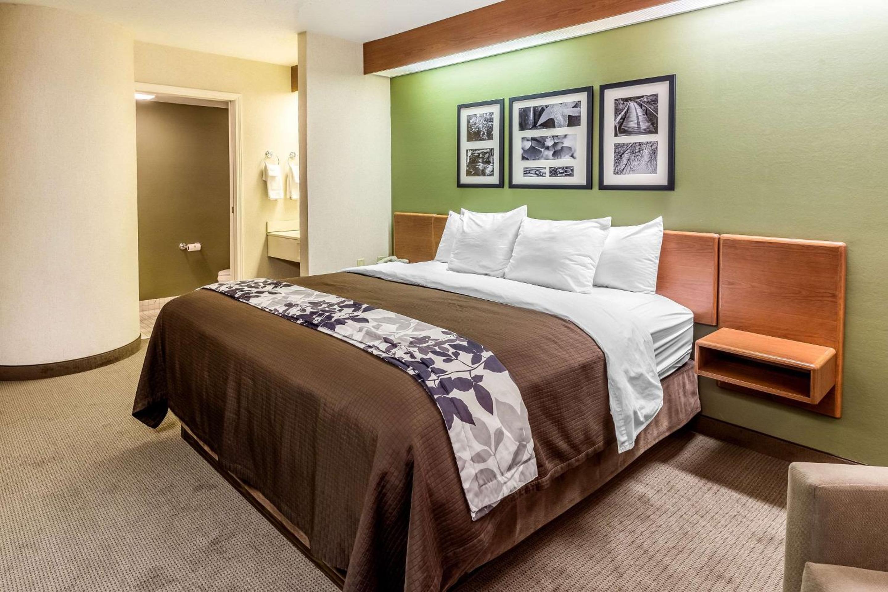 King Room photo 1
