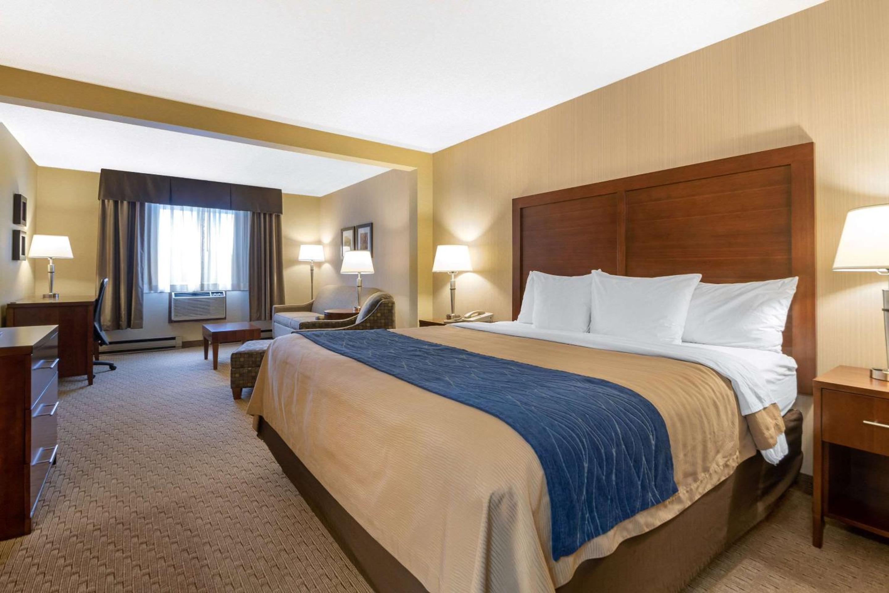 King Suite with Sofa Bed - Non-Smoking - Photo 3