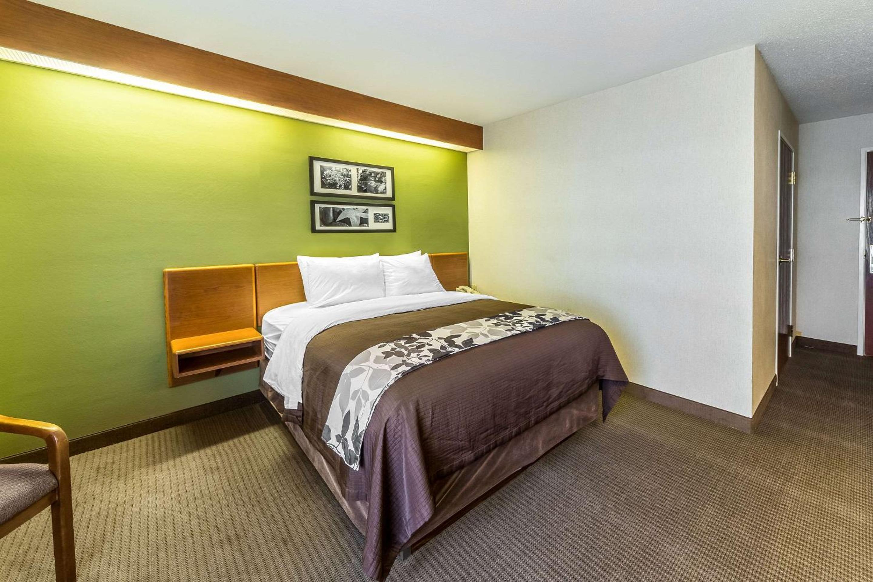 Queen Room - Accessible/Non-Smoking photo 1