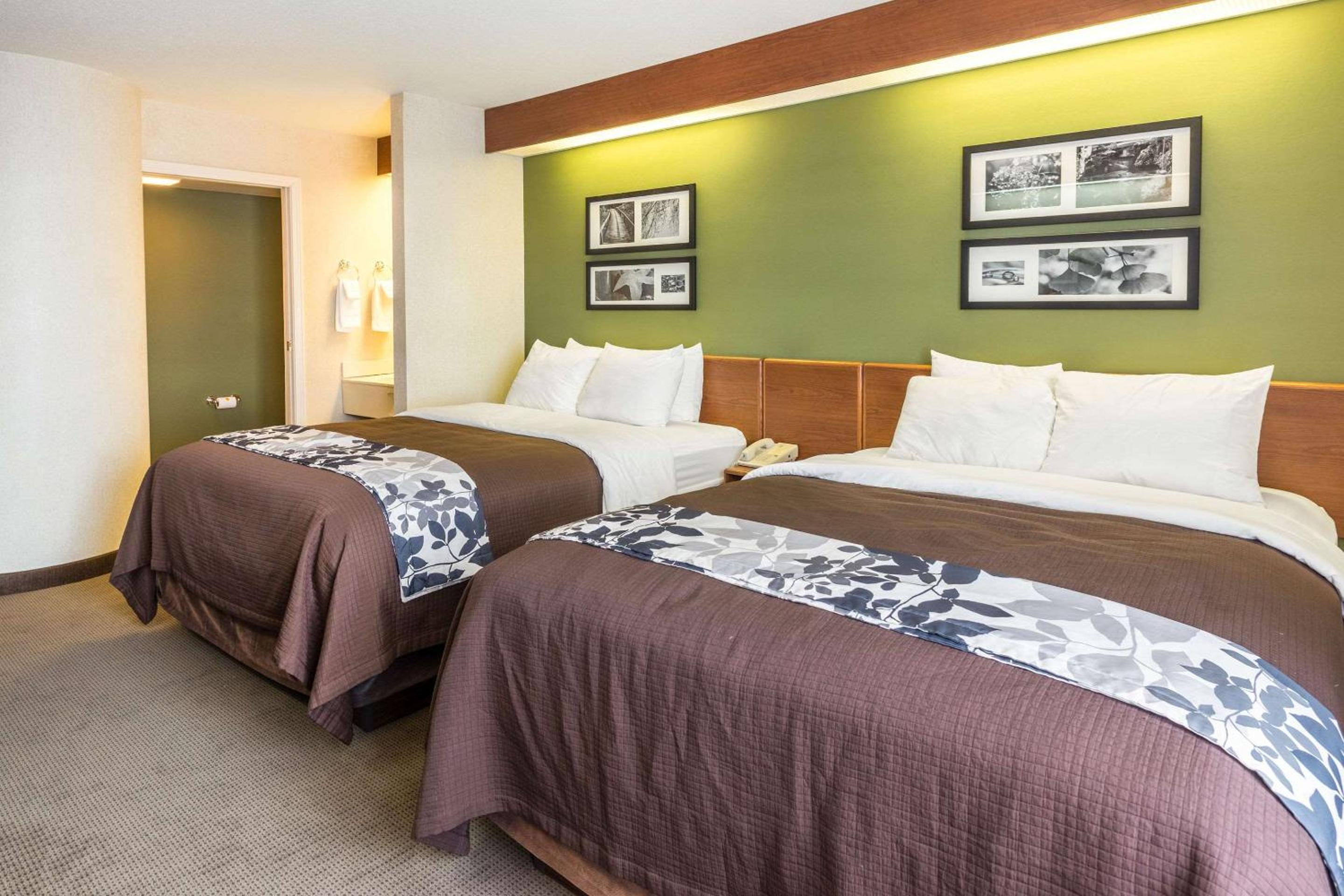 Queen Room with Two Queen Beds - Non-Smoking photo 3