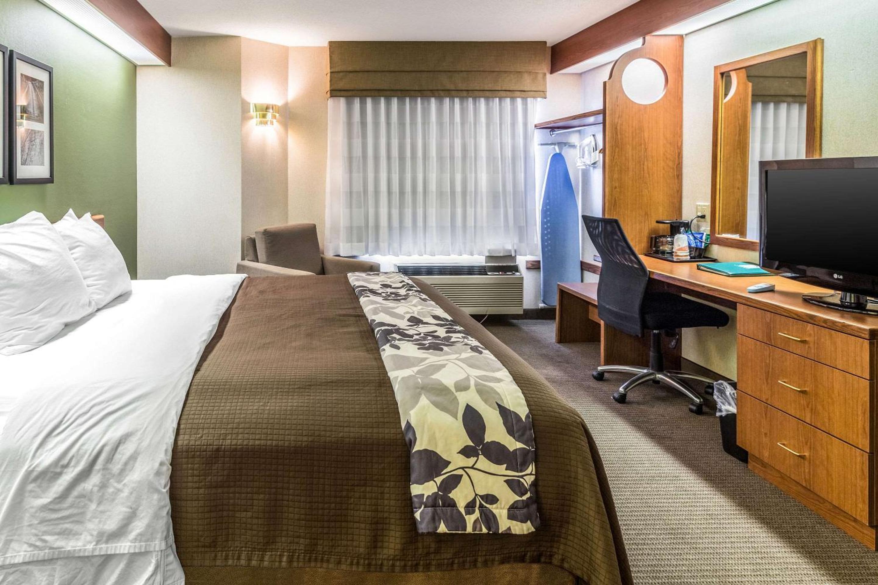 King Room photo 2