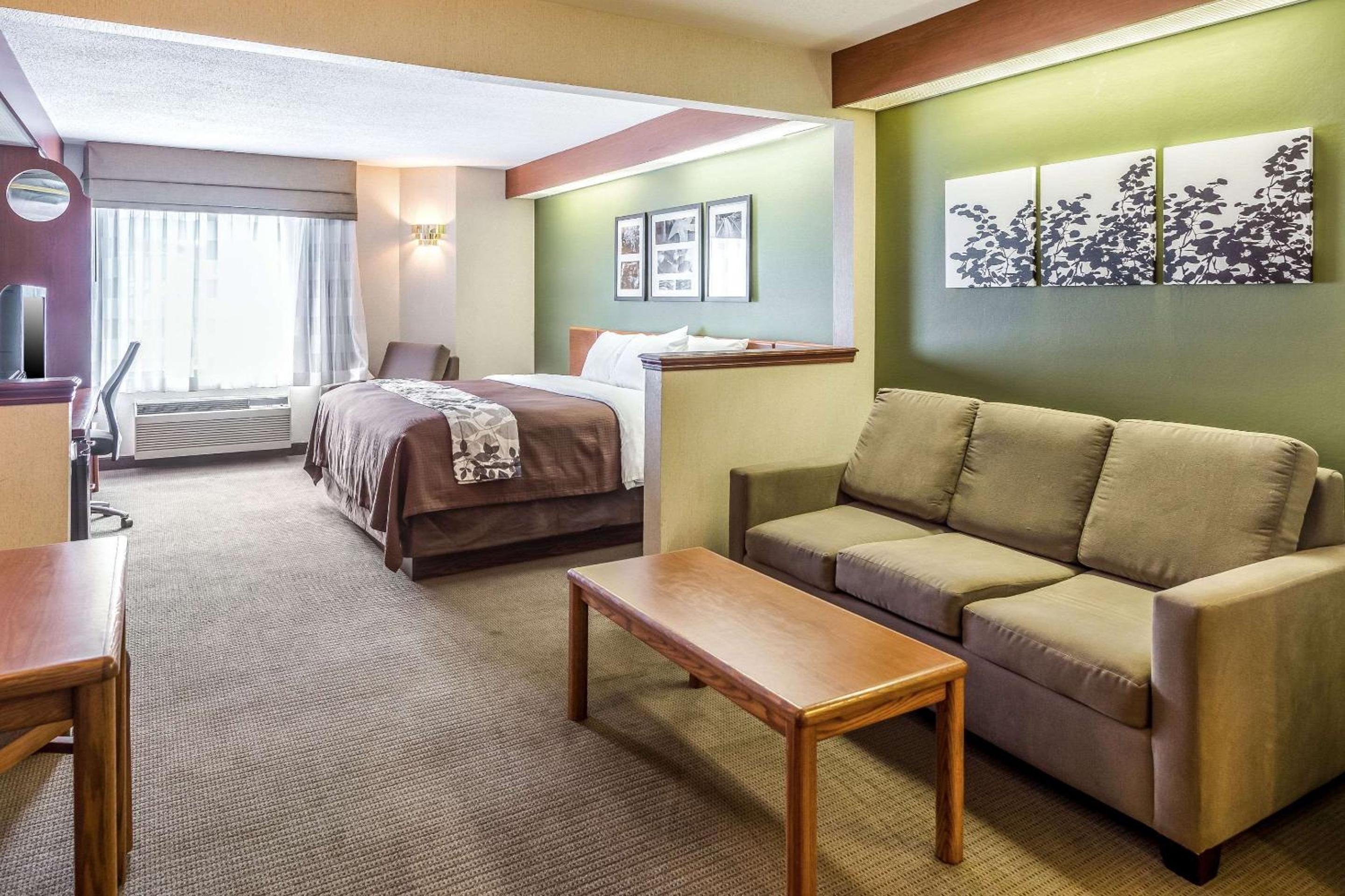 King Suite with Sofa Bed - Non Smoking photo 2