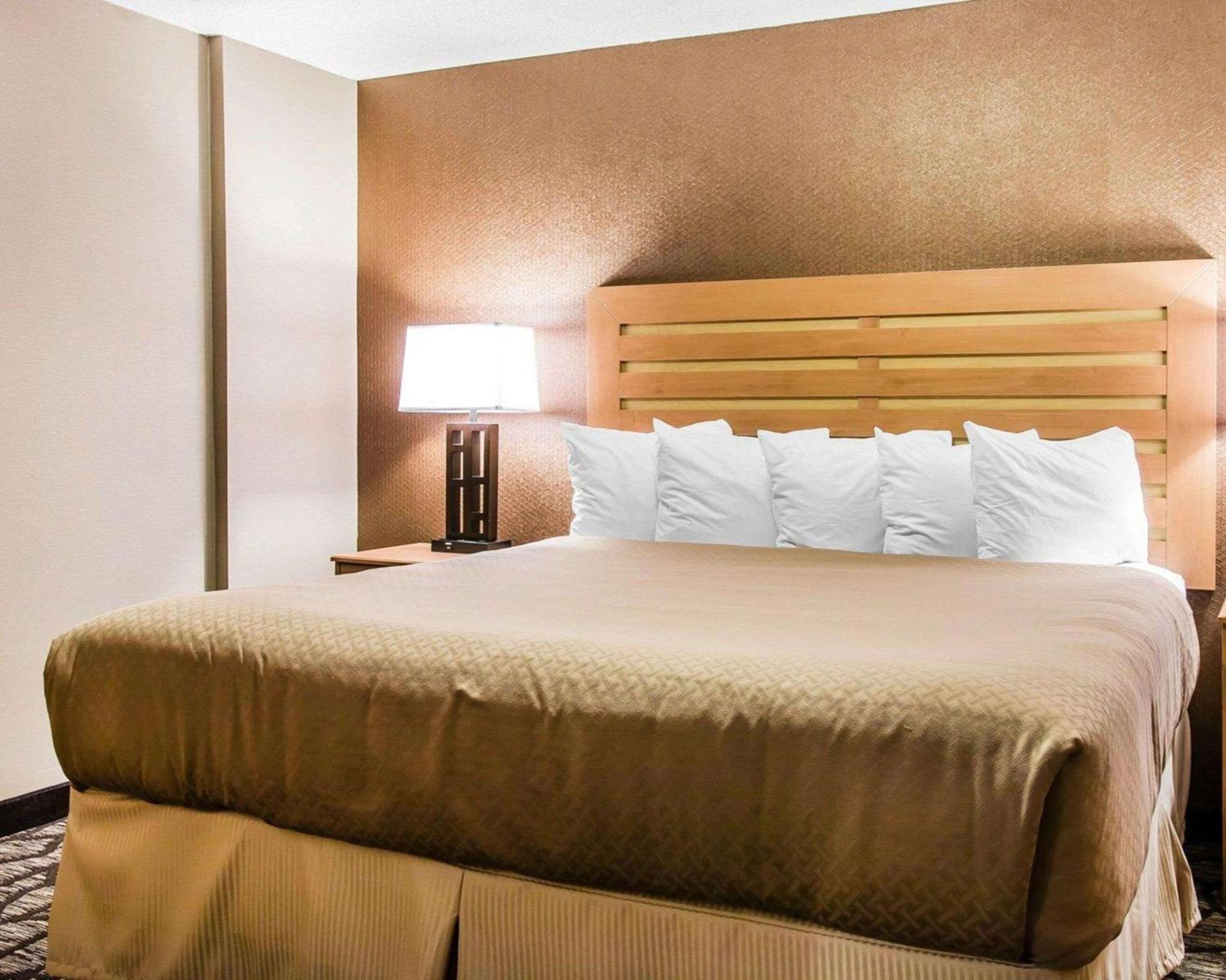 King Suite with Sofa Bed - Non-Smoking - Photo 4